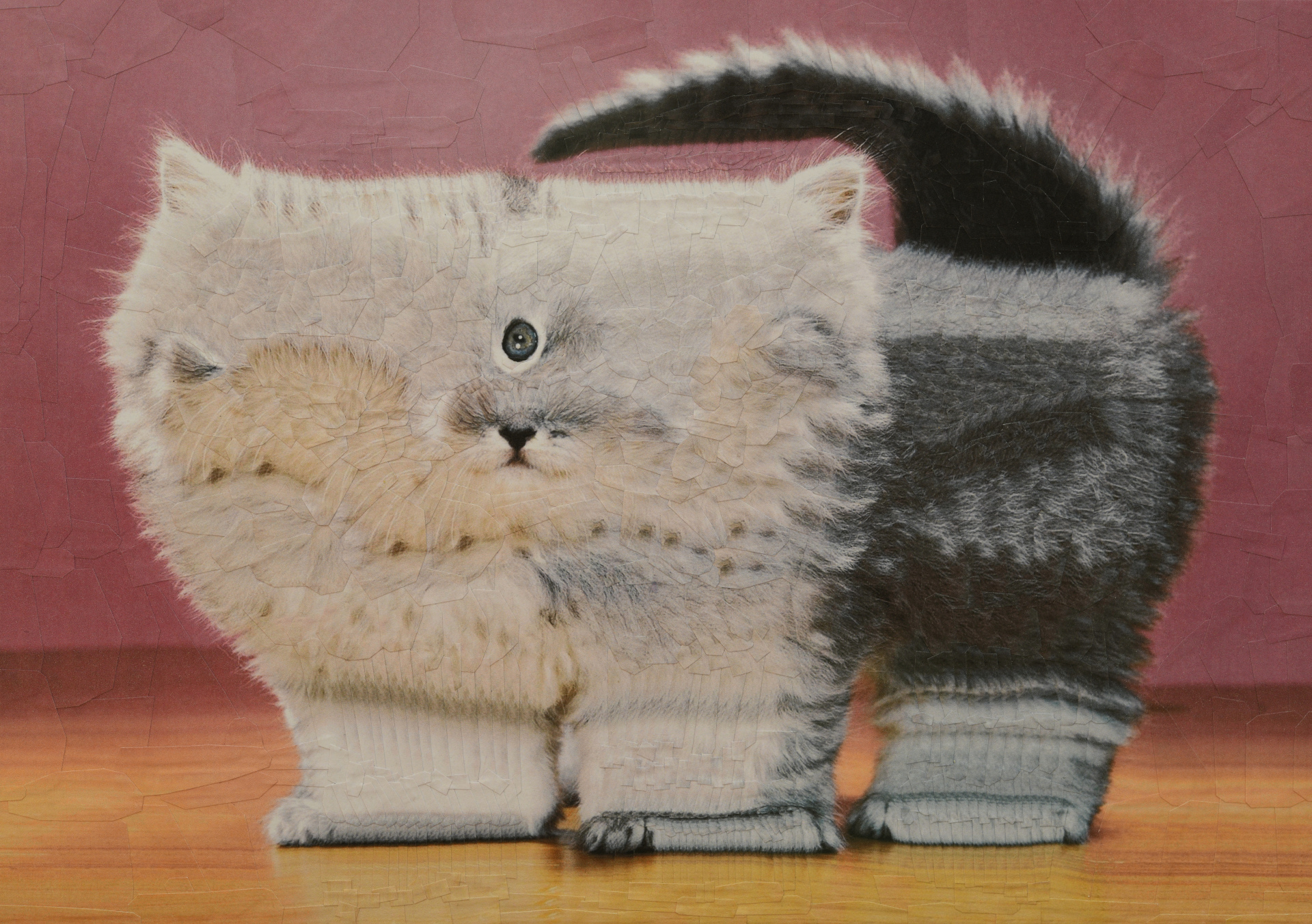 Ivor, After Walter Chandoha, 2021,  11.6 x 8.2 inches