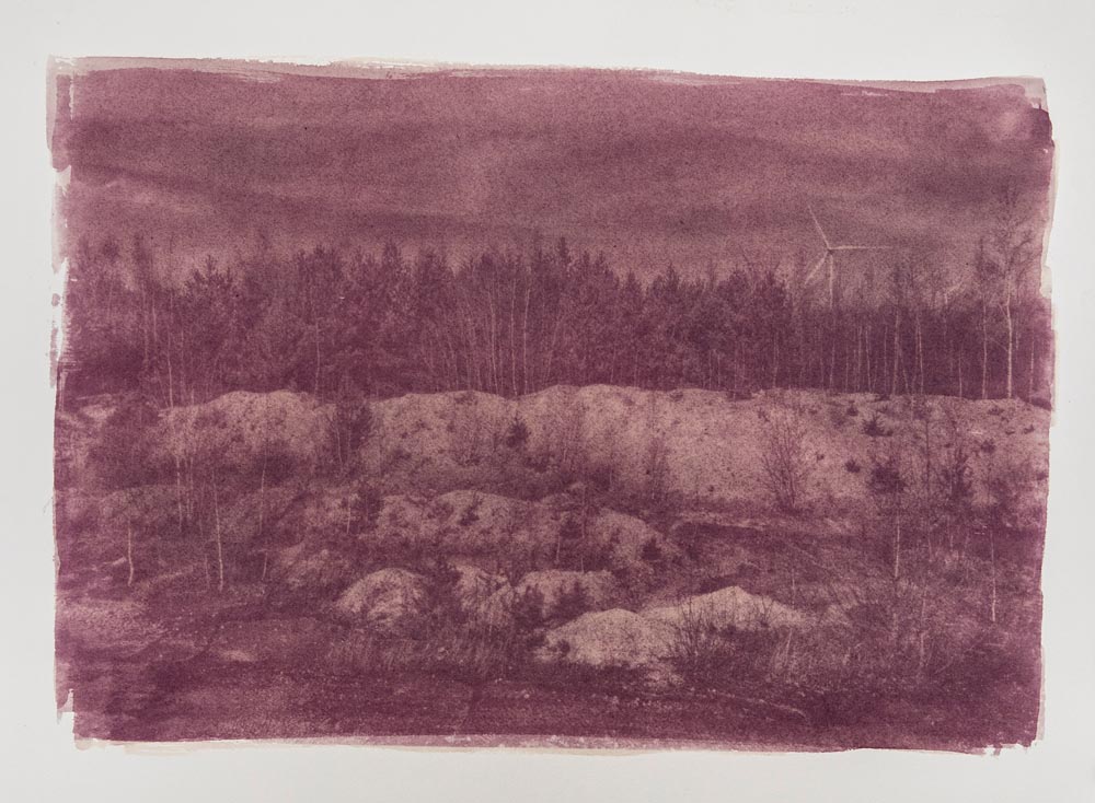 Winterslag, Genk (Kristof Vrancken - 2017), 46 x 61cm, Anthotype: Organische Emulsie van Braambessen uit het geportretteerde landschap. Belichting: 4 weken.