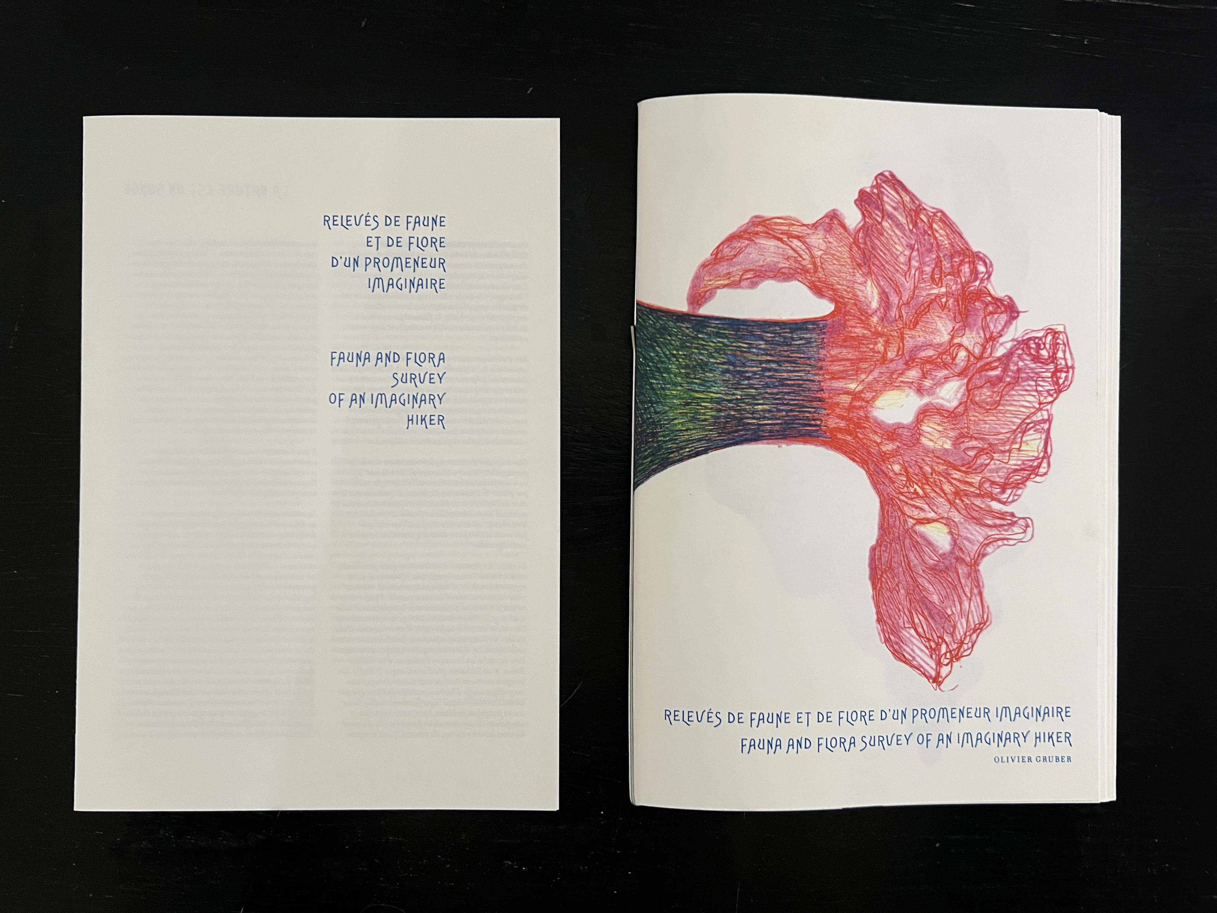 ︎ RELEVÉS DE FAUNE ET FLORE D’UN PROMENEUR IMAGINAIRE - OLIVIER GRUBER