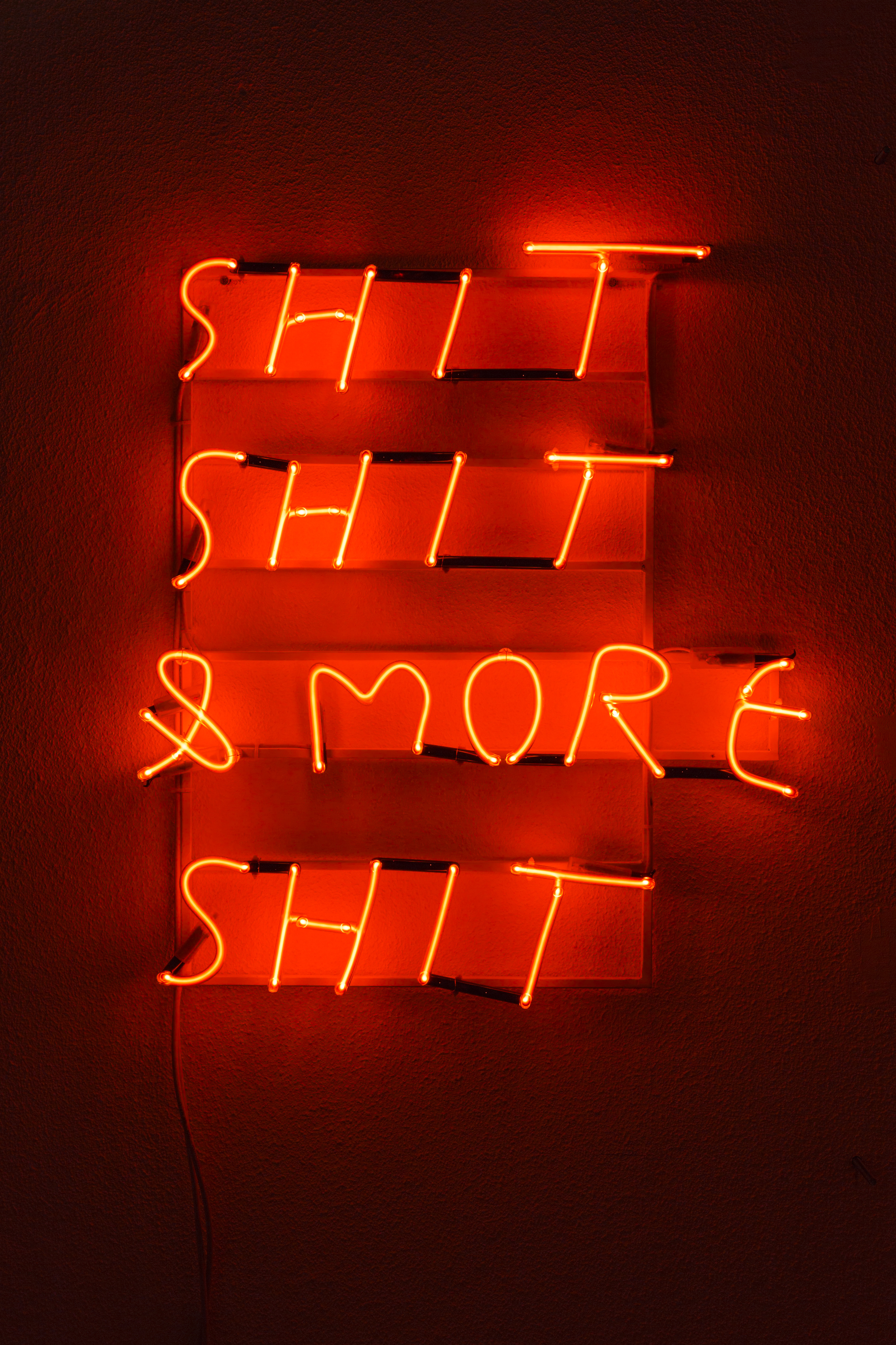 Shit Shit & More Shit. 2015Neon light