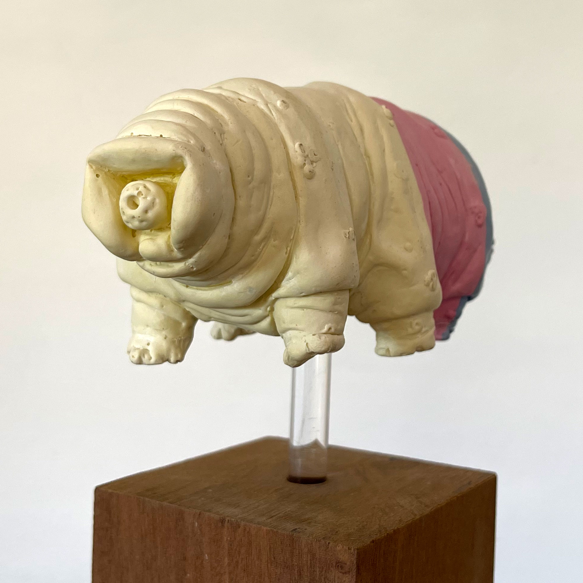 Battenberg Tardy, jesmonite, wood, perspex, 23 x 17 x 9 cm