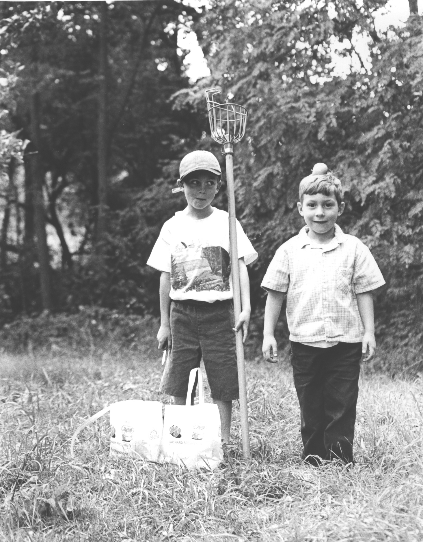 Upstate New York BUY THIS PRINT