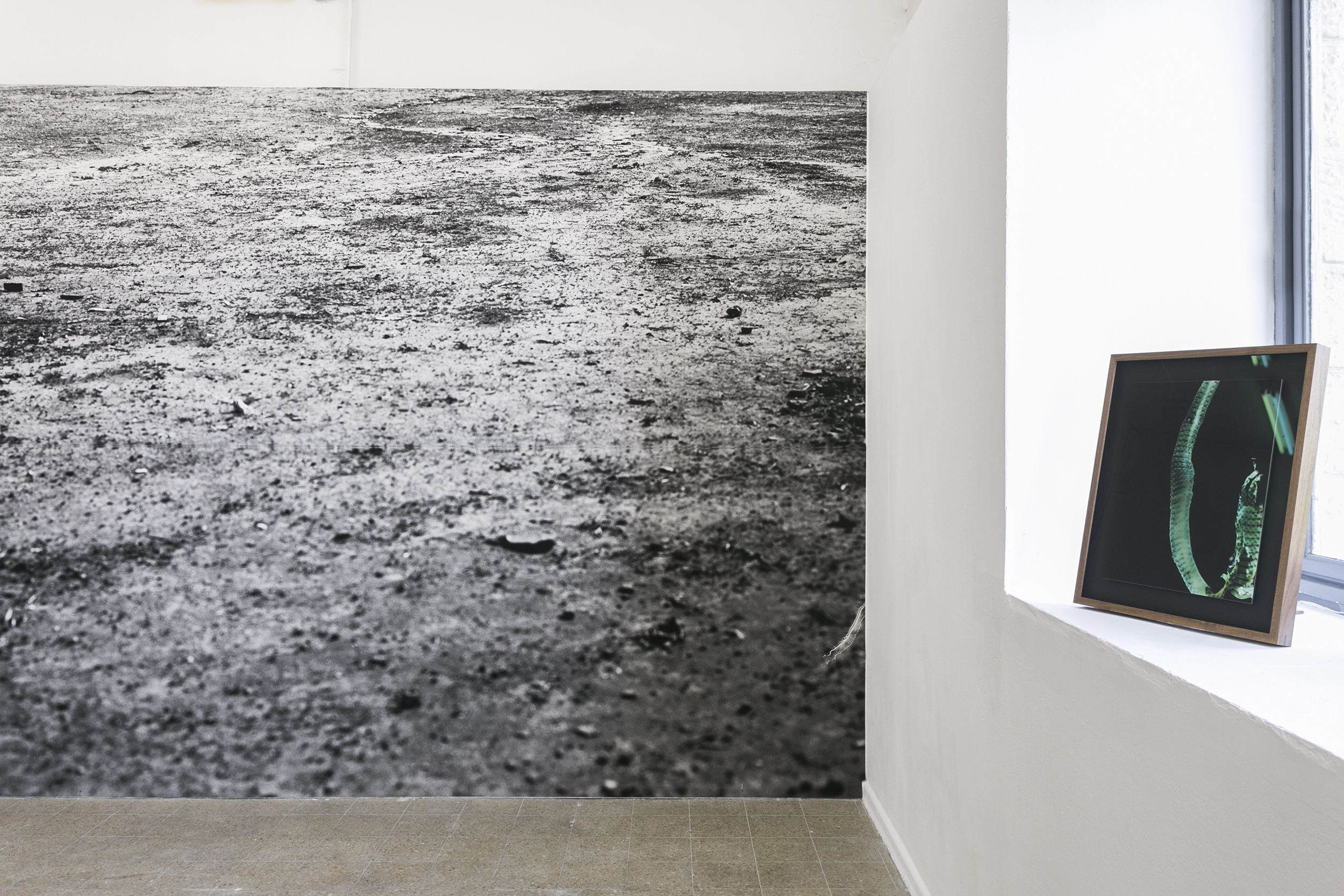 Installation view, Bezalel Academy, Jerusalem, 2017