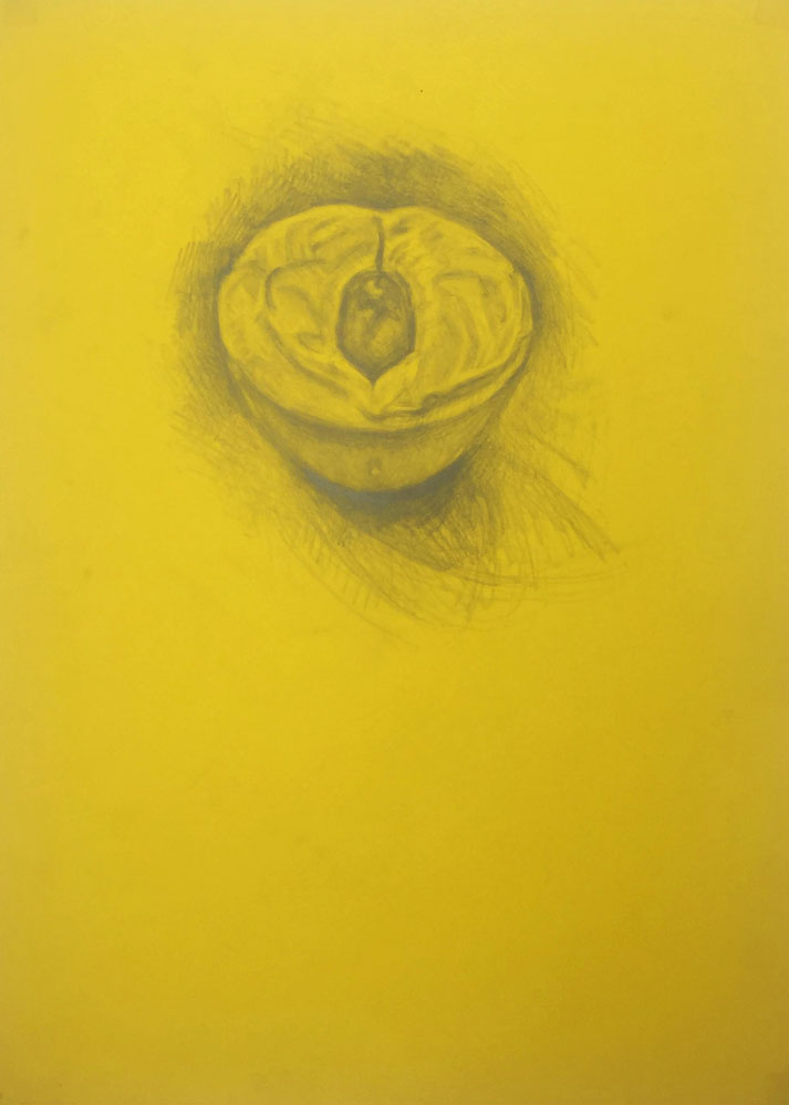 ambiguit&eacute;, grapite sur calque de couleur, 64 x 45 cm, 2017