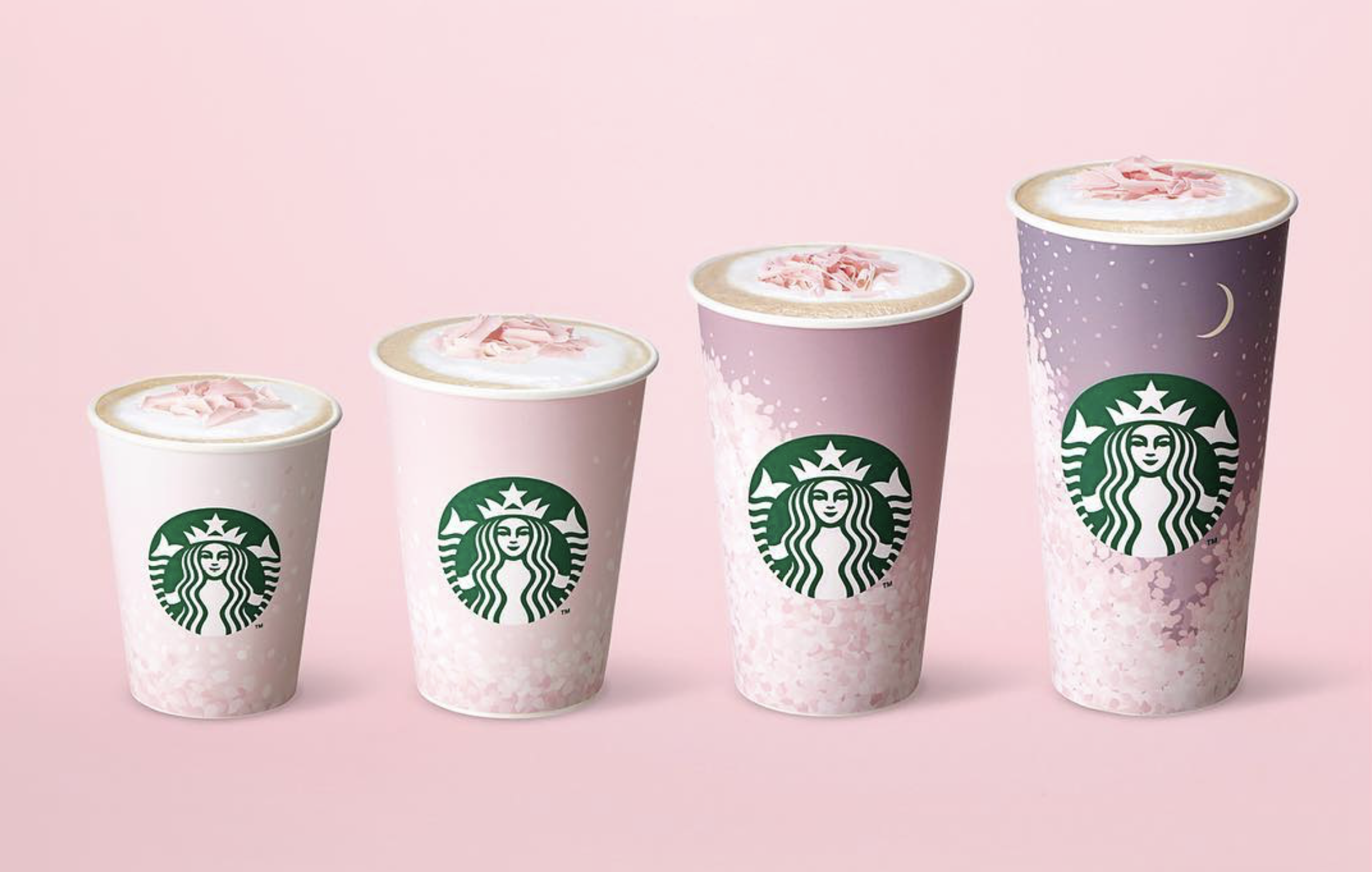 STARBUCKS KOREA / CHERRY BLOSSOM — studio le