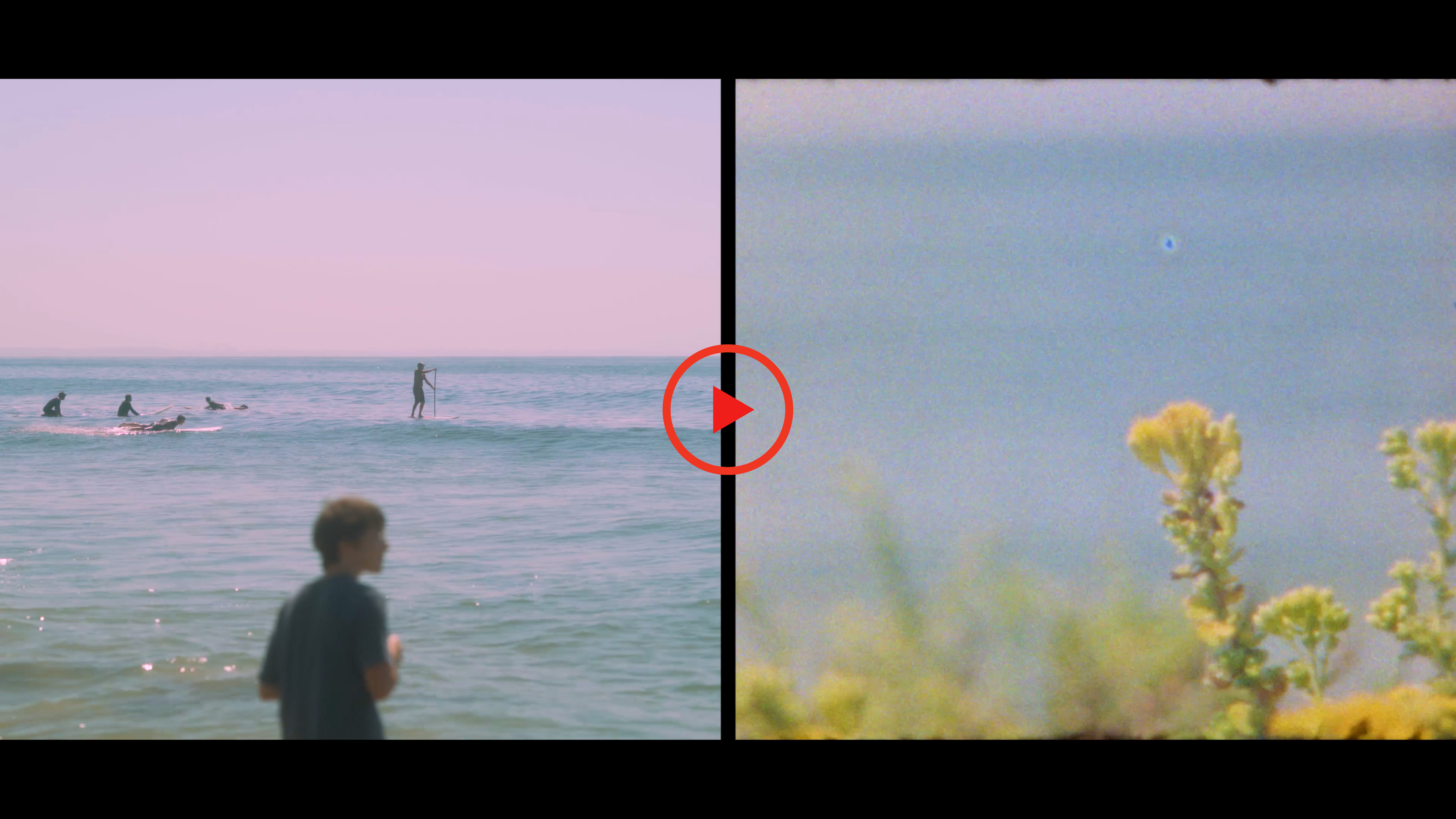 Emily Sprague | Chasing Light