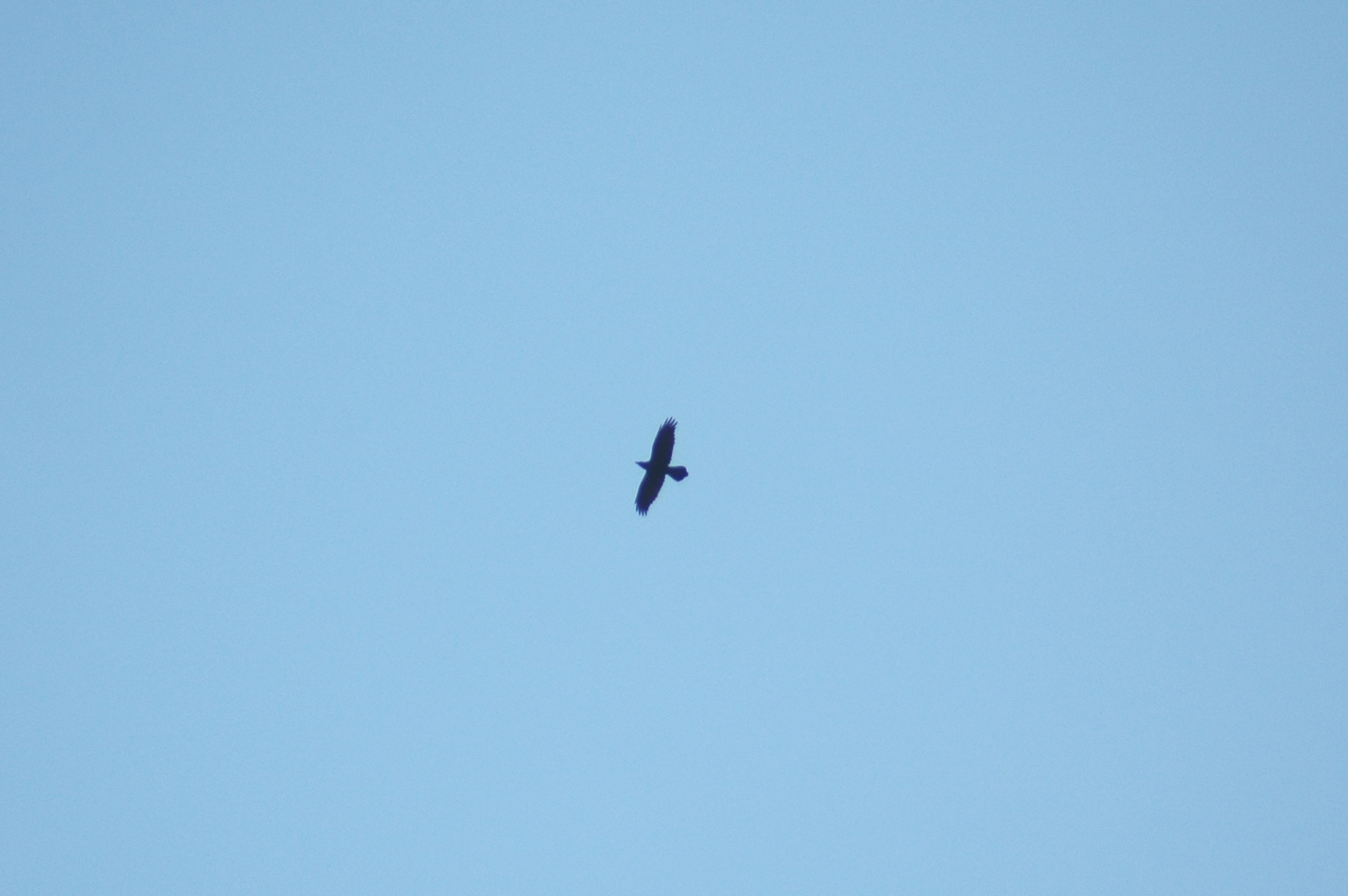 14.12.2024, Otobüs durakları (Yüksek irtifa)