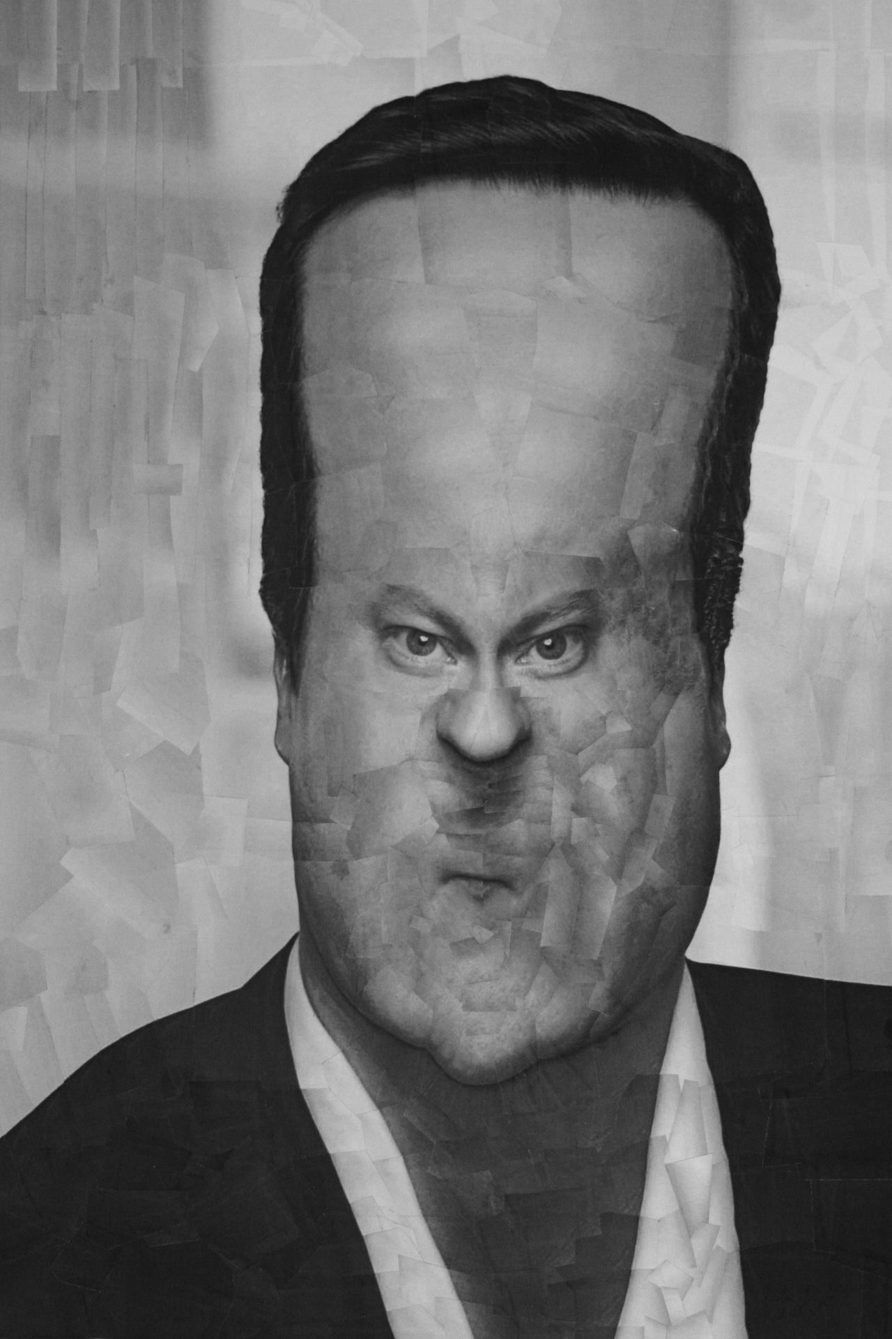 David Cameron 3, 2010