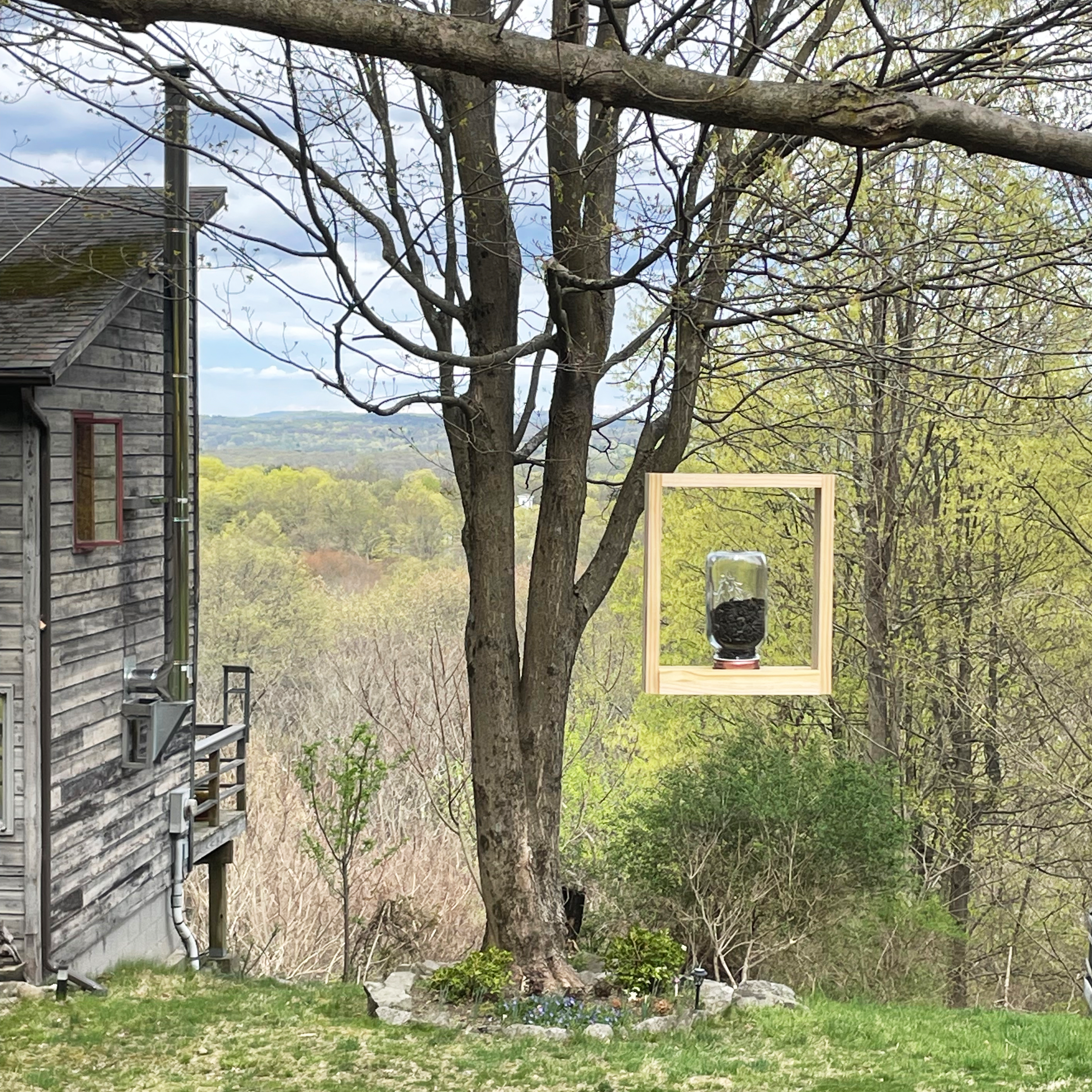 Ecophilia [BOYM PARTNERS INC.]