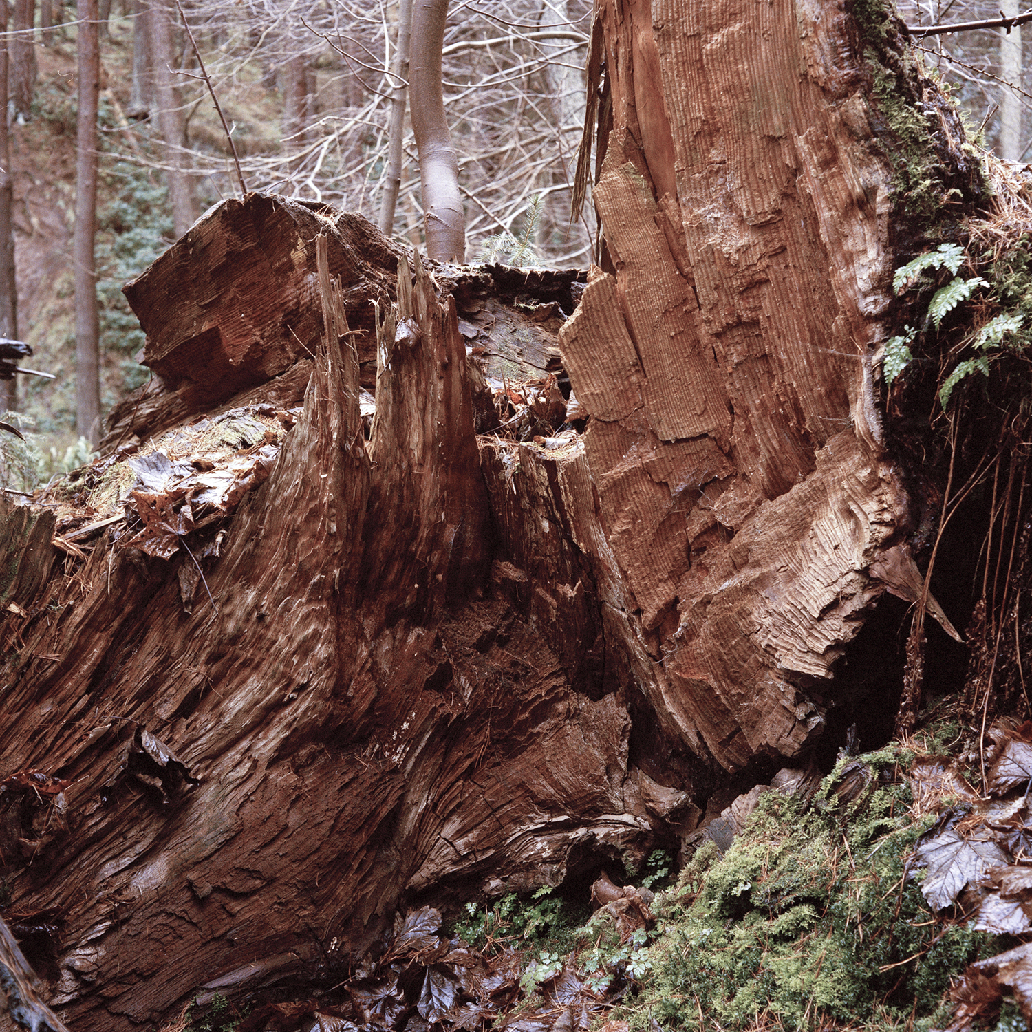 55°53’28”N 3°16’08”W