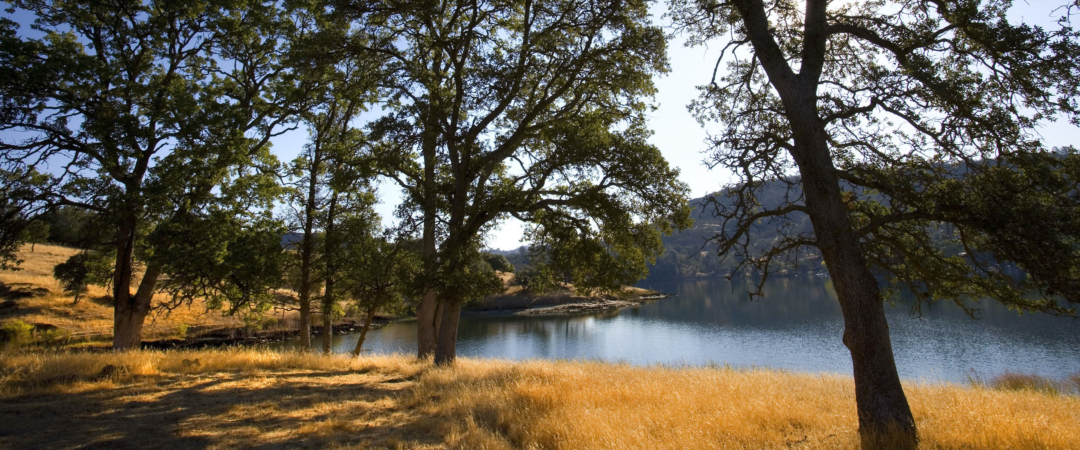 托斯卡納山：生態學觀點的住宅開發