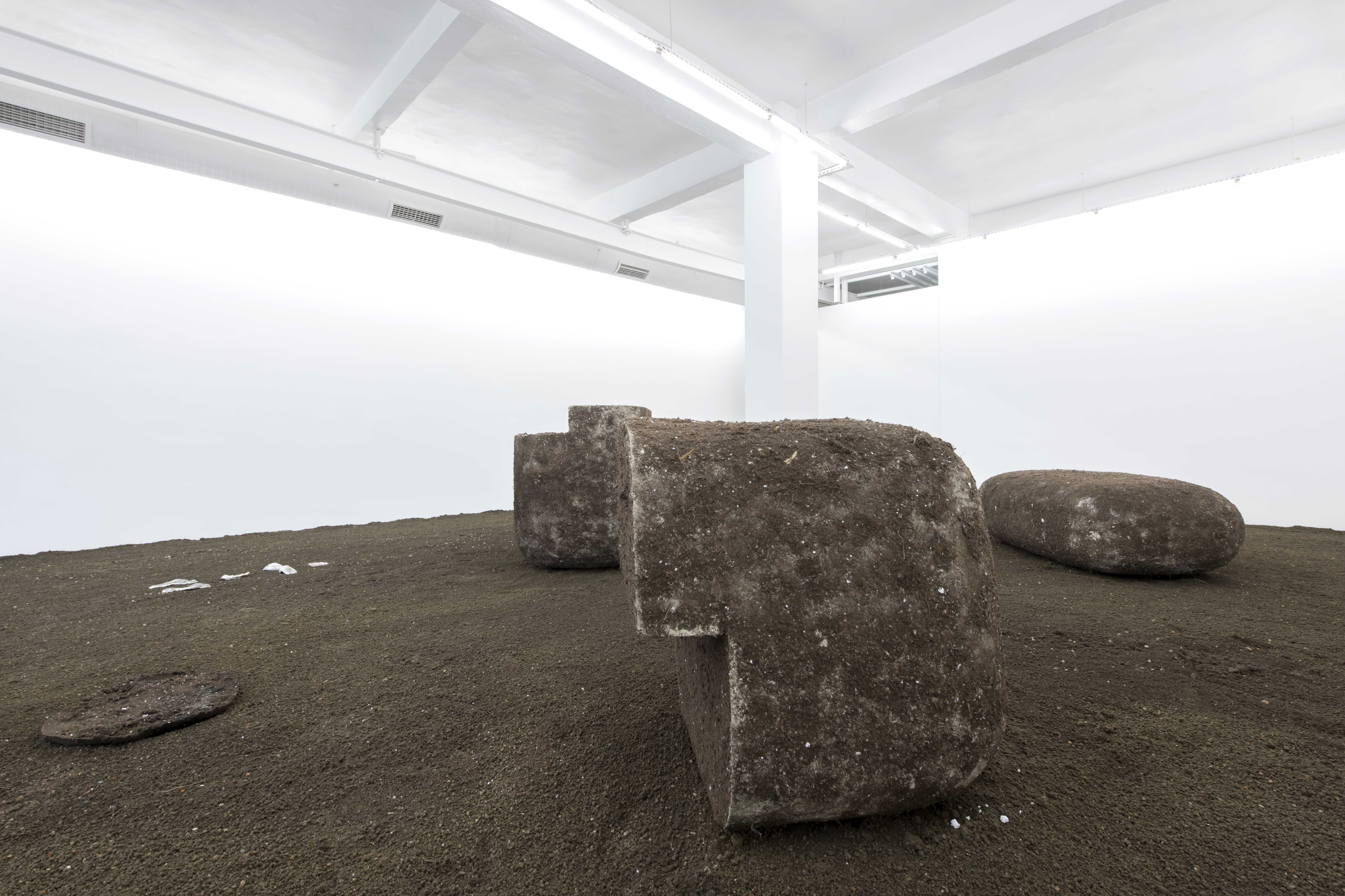 Installation View. Courtesy of The Pill and Elif Erkan. Photography Kayahan Kaygusuz.