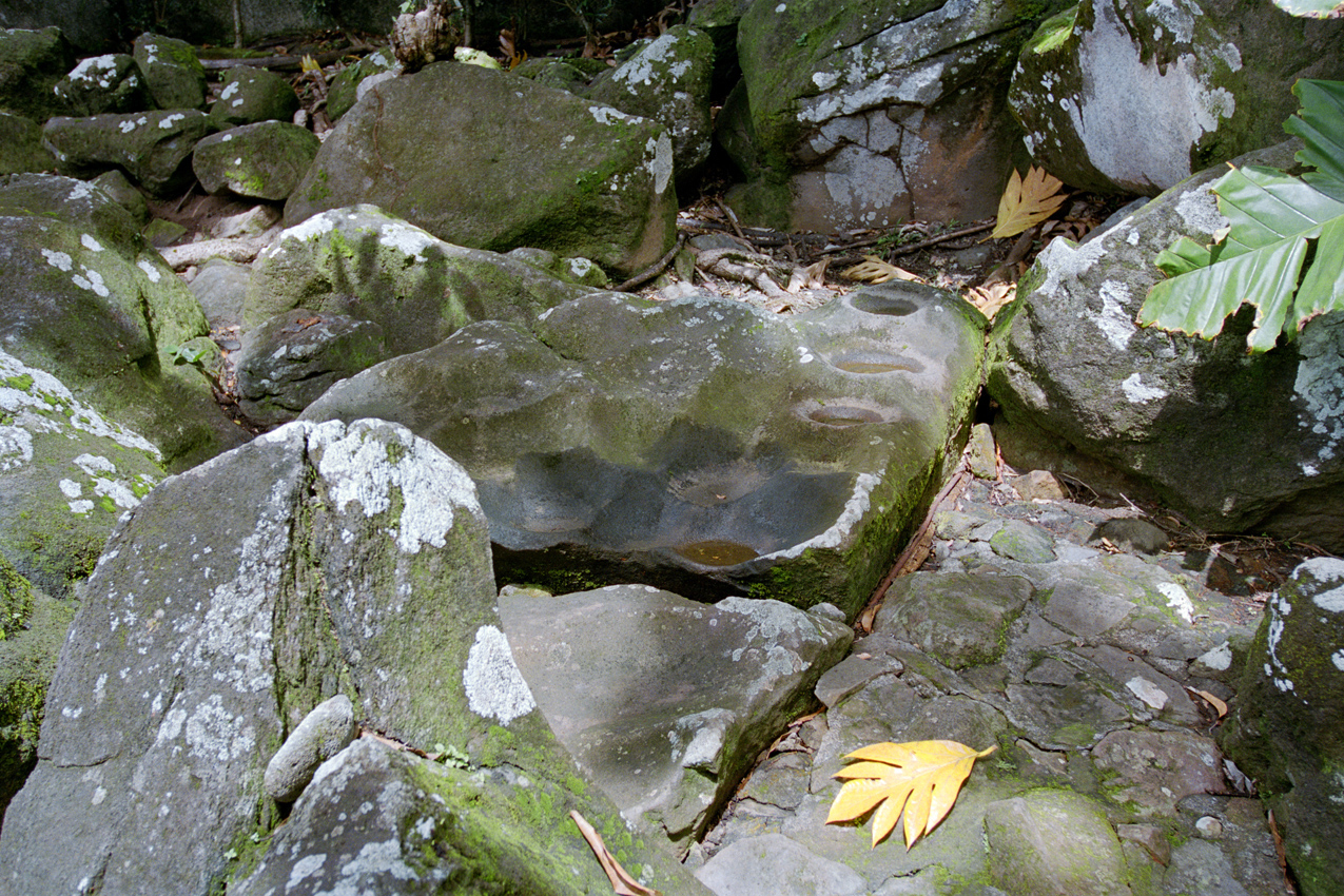 RESEARCH AND PERCEPTIONS