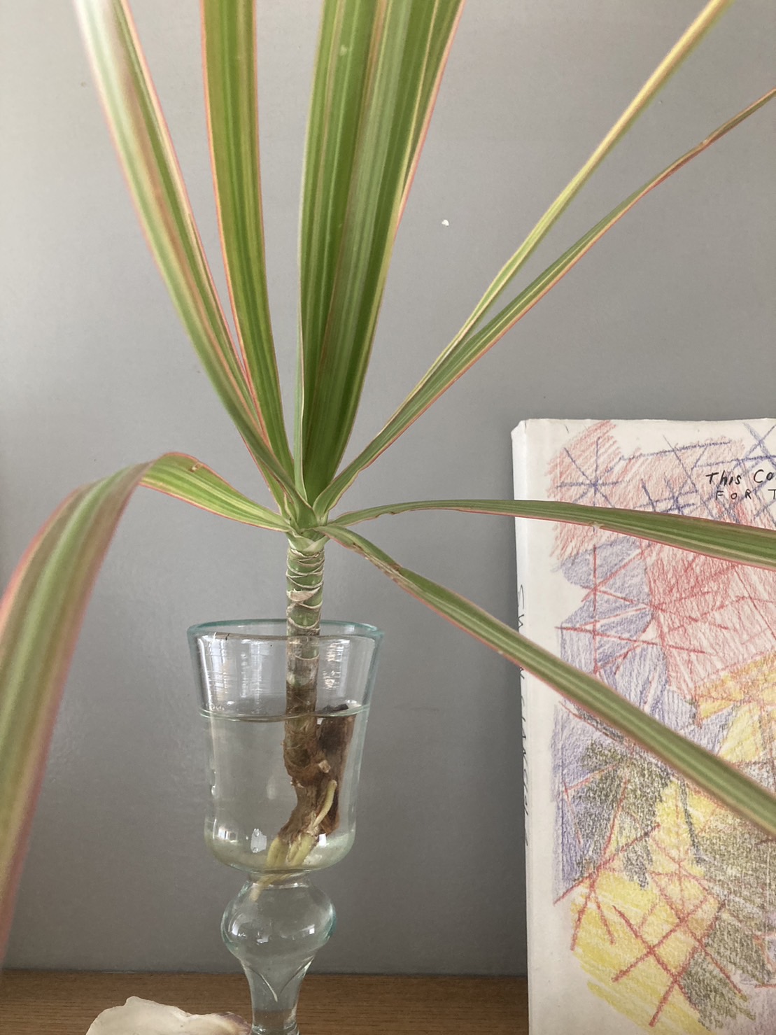 she is growing - MARCH 29, 2025