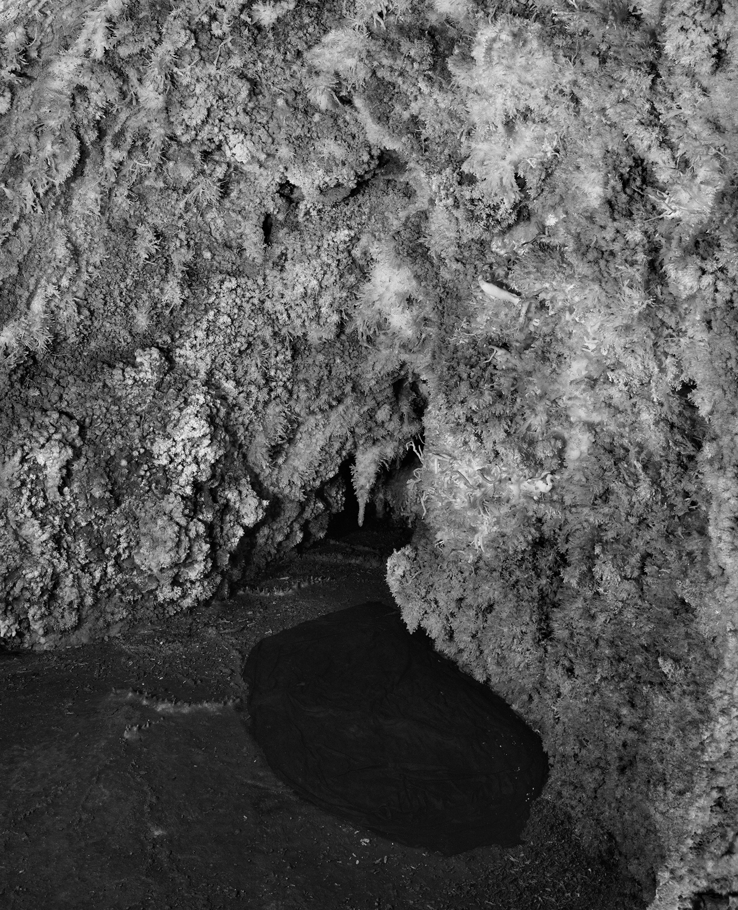 Grotte Cibelle, Villeneuve-Minervois, Aude. Découverte en 2007, la grotte Cibelle abrite des instruments permettant l'étude et le suivi du concrétionnement. Un tissu sombre a été placé au sol pour détecter les éventuelles chutes de cristaux d'aragonite présents sur les parois de la cavité. / Discovered in 2007, the Cibelle cave houses instruments for studying and monitoring concretion. A dark cloth has been placed on the floor to detect any aragonite crystals that fall the cave walls.
