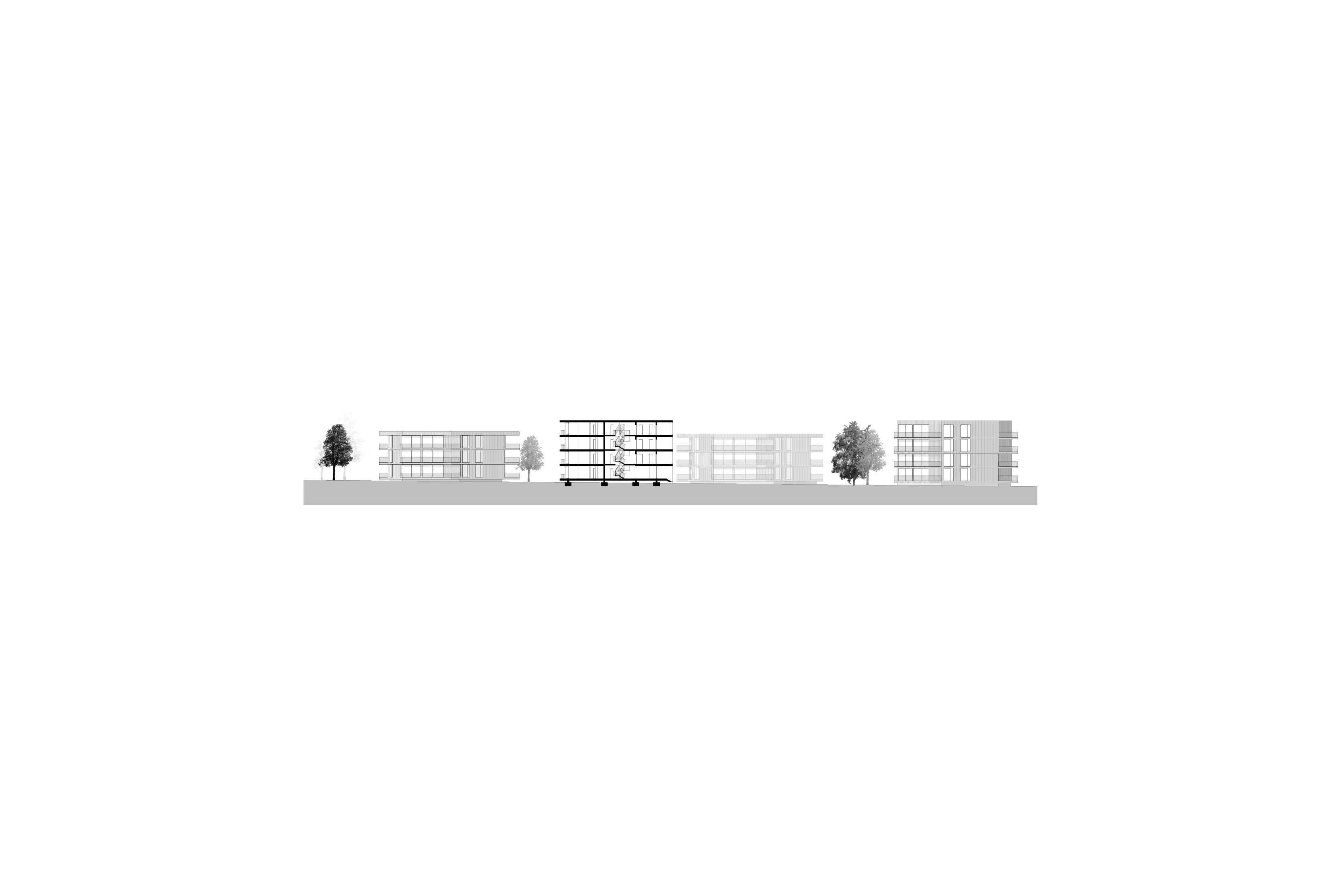 Section