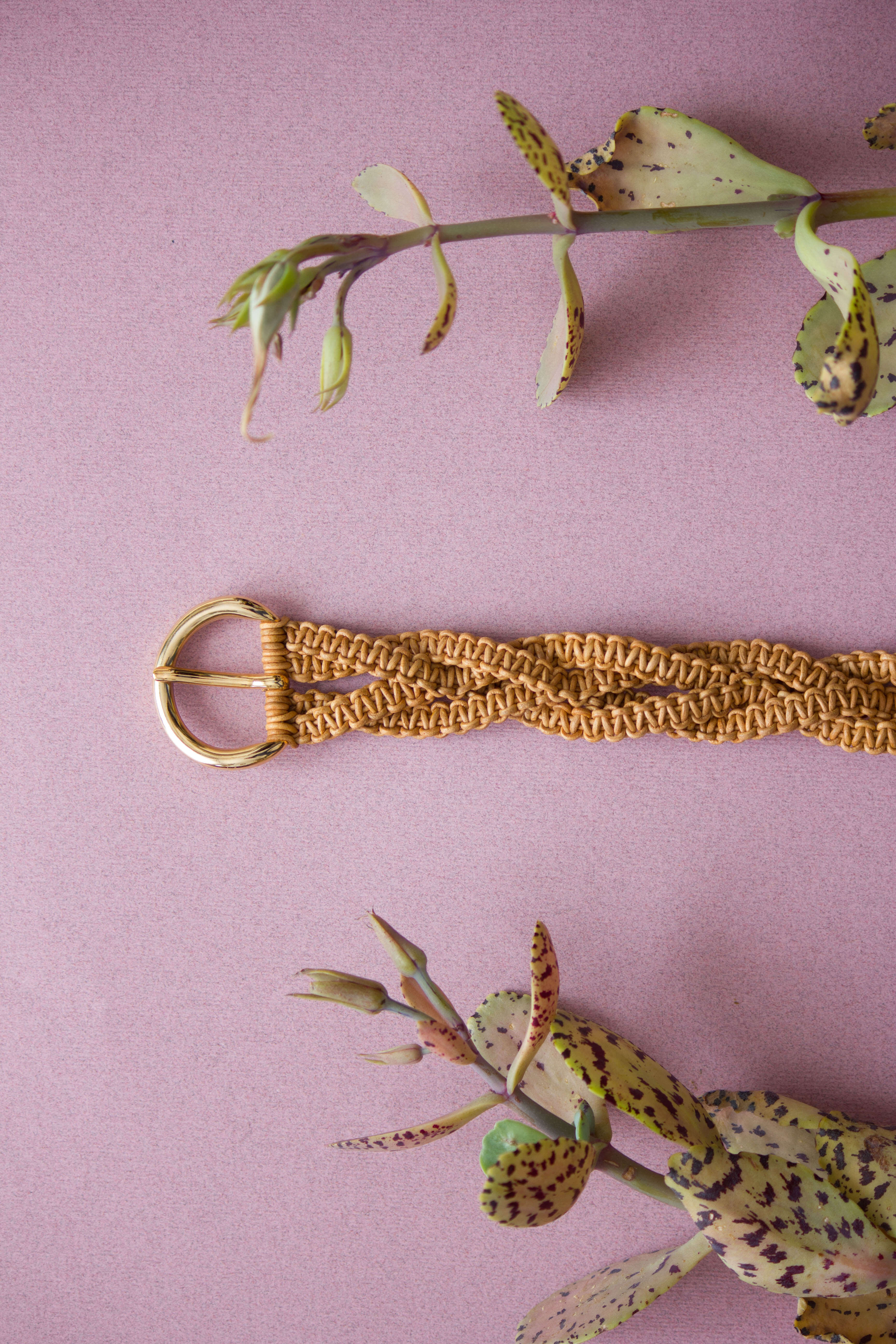 ALBA BELT [ miele ] €115