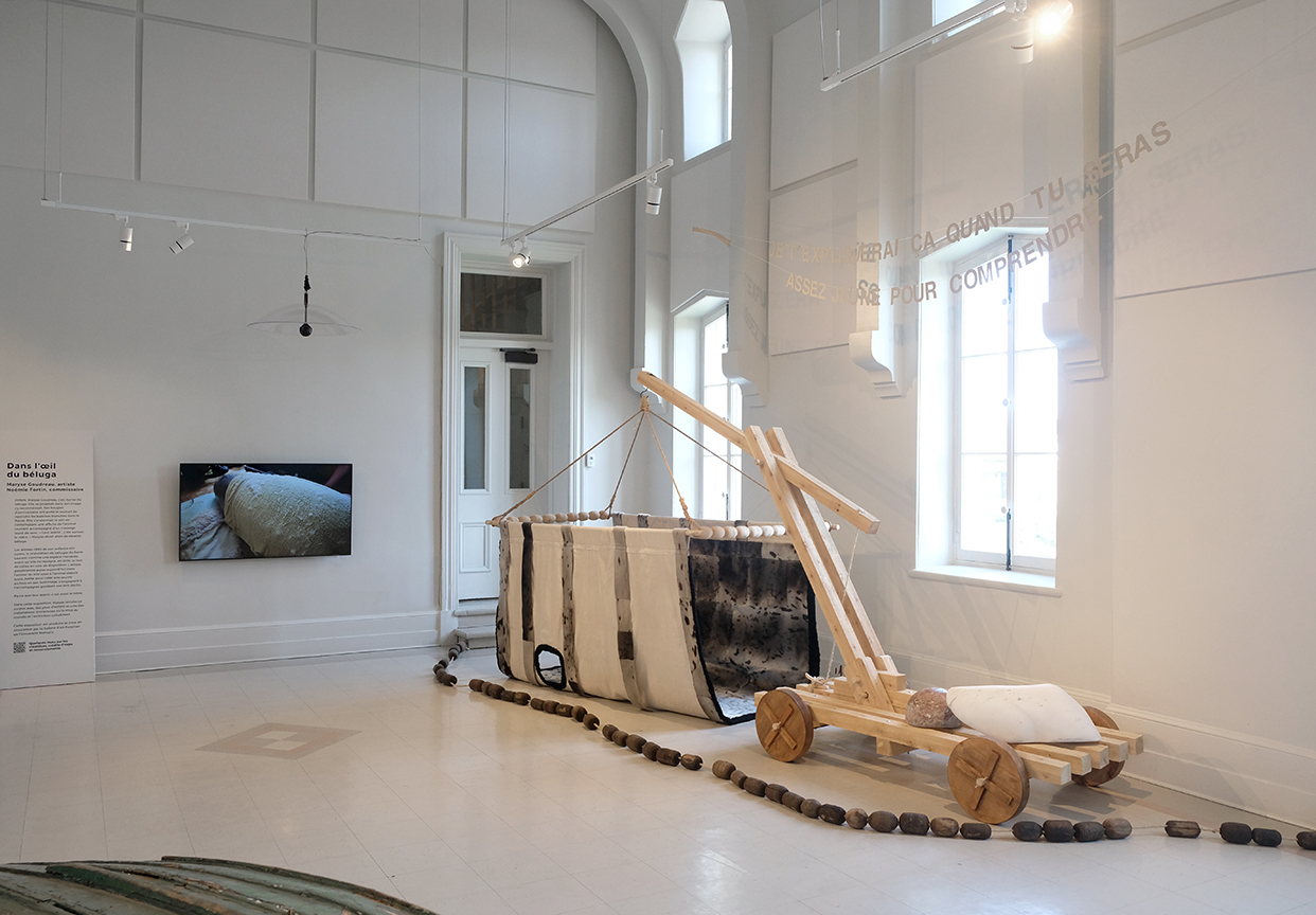Dans l’œil du béluga, Centre d'art de Kamouraska, 2025