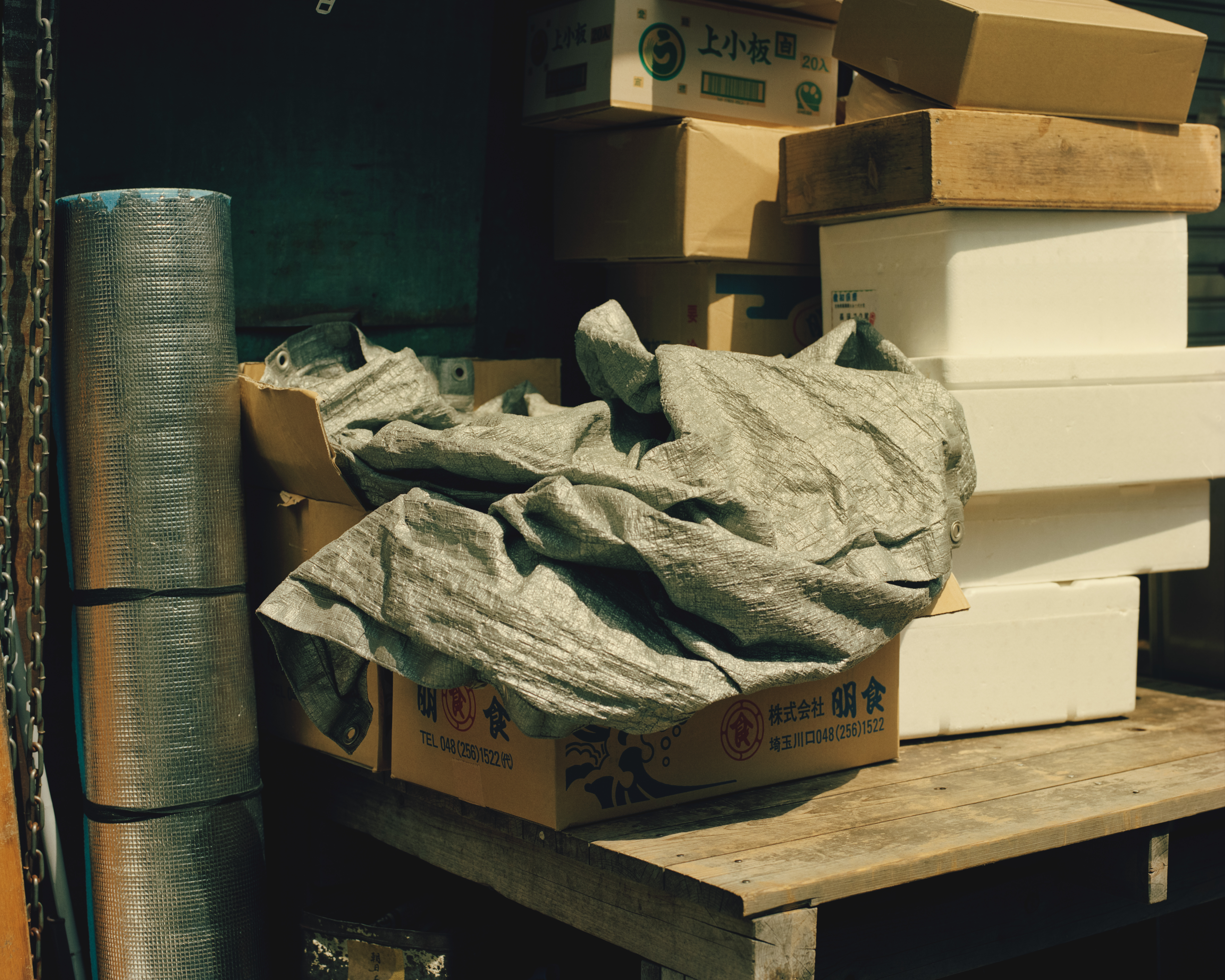 Tsukiji Market. Tokyo, Japan