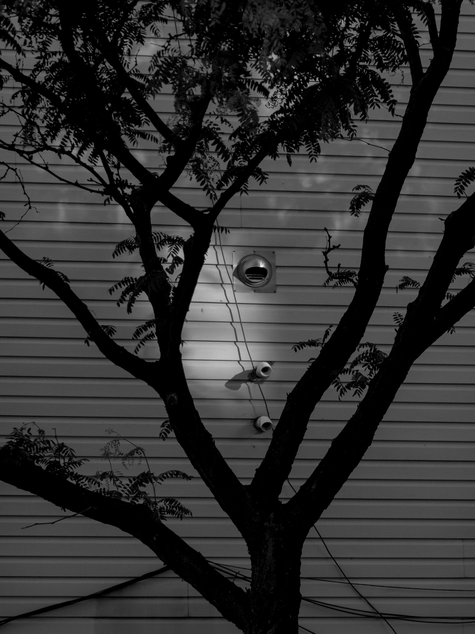 Sources of Self-Regard for The New York Times