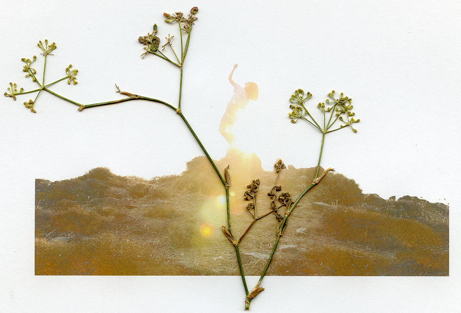 NETTE: A kinesic experiment