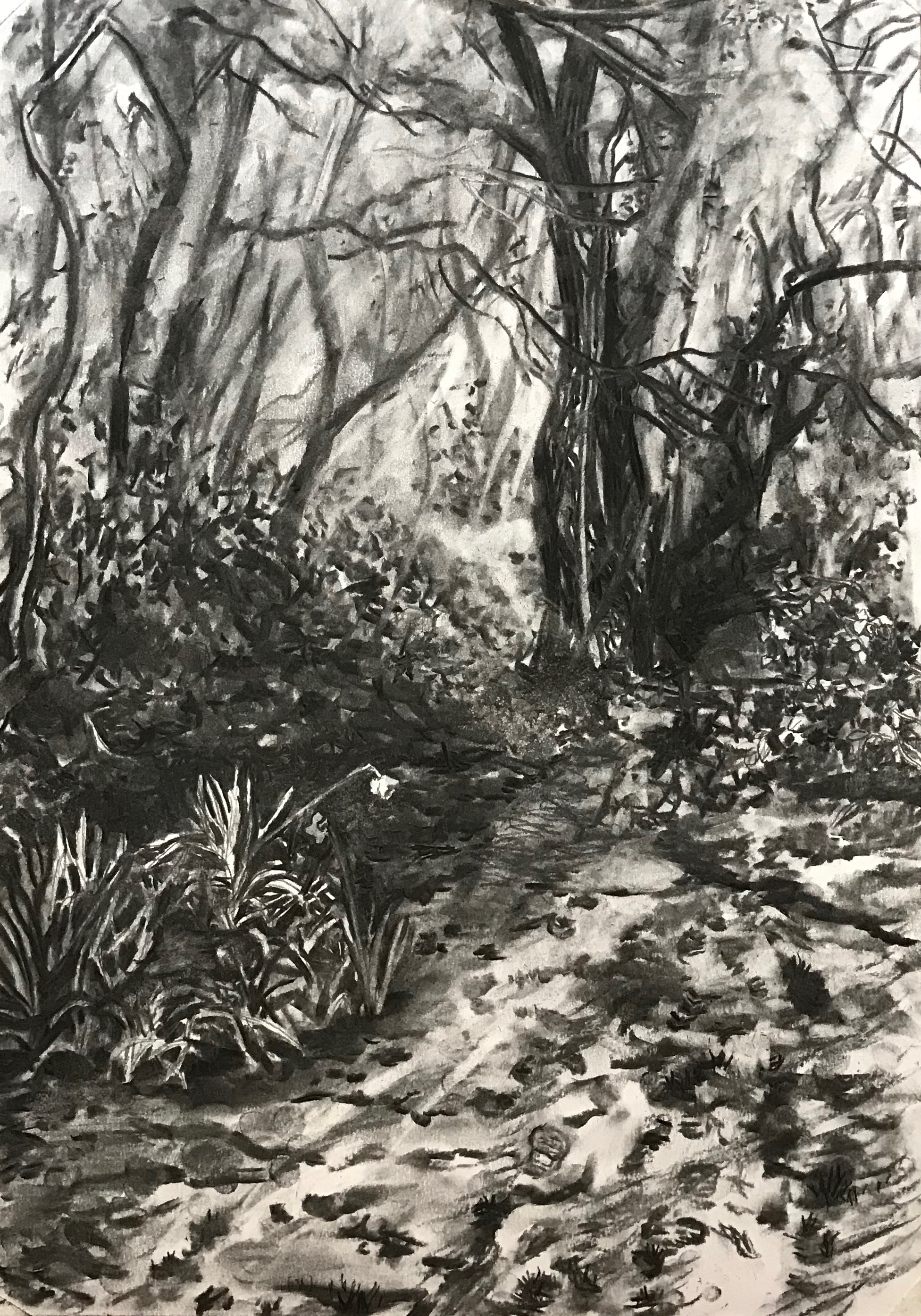 Daffodils and Footprints in The Snow by Zoë Roberts