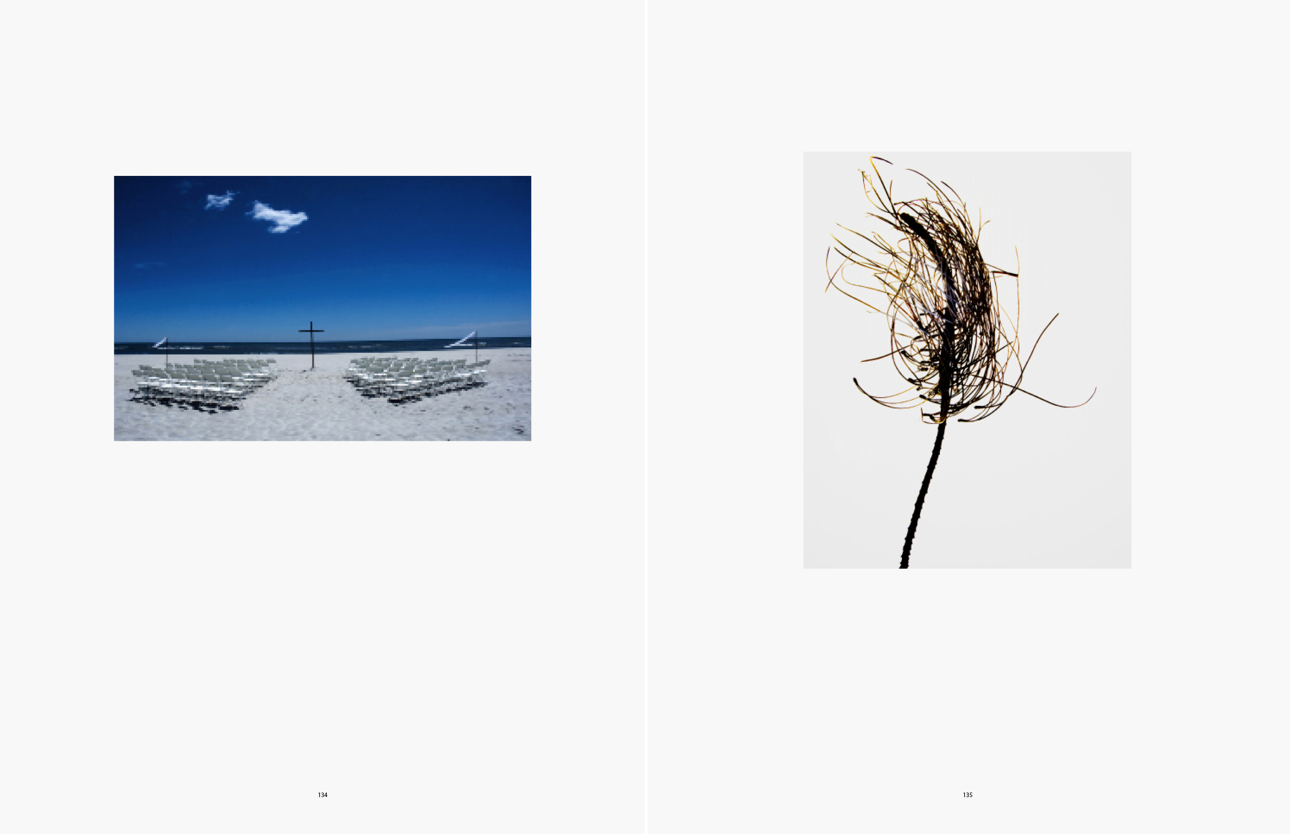 Fire Island Wedding; Dried Pine