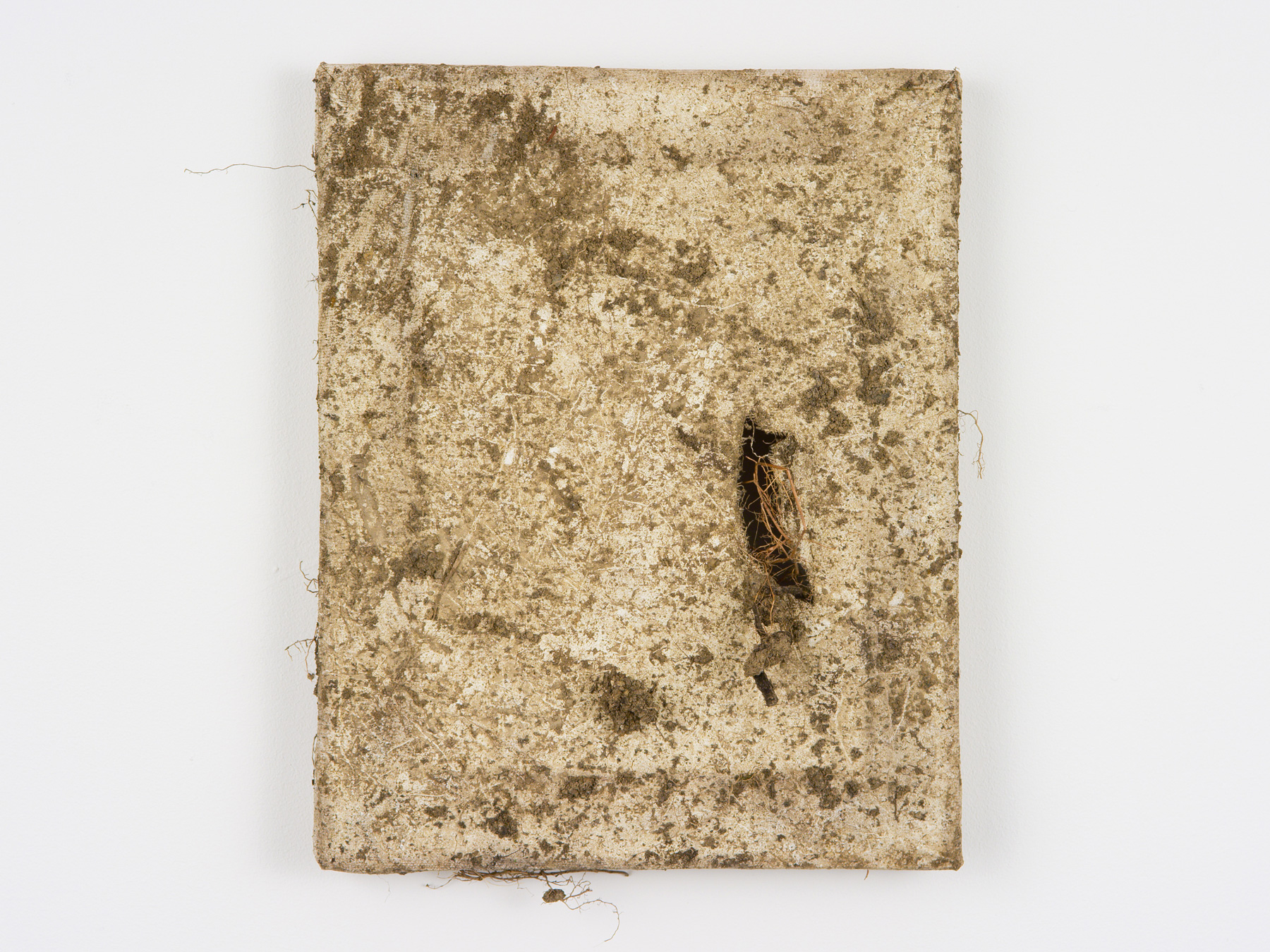 Buried / Five Months / Stretched Primed Linen / 300 x 240mm / 2021