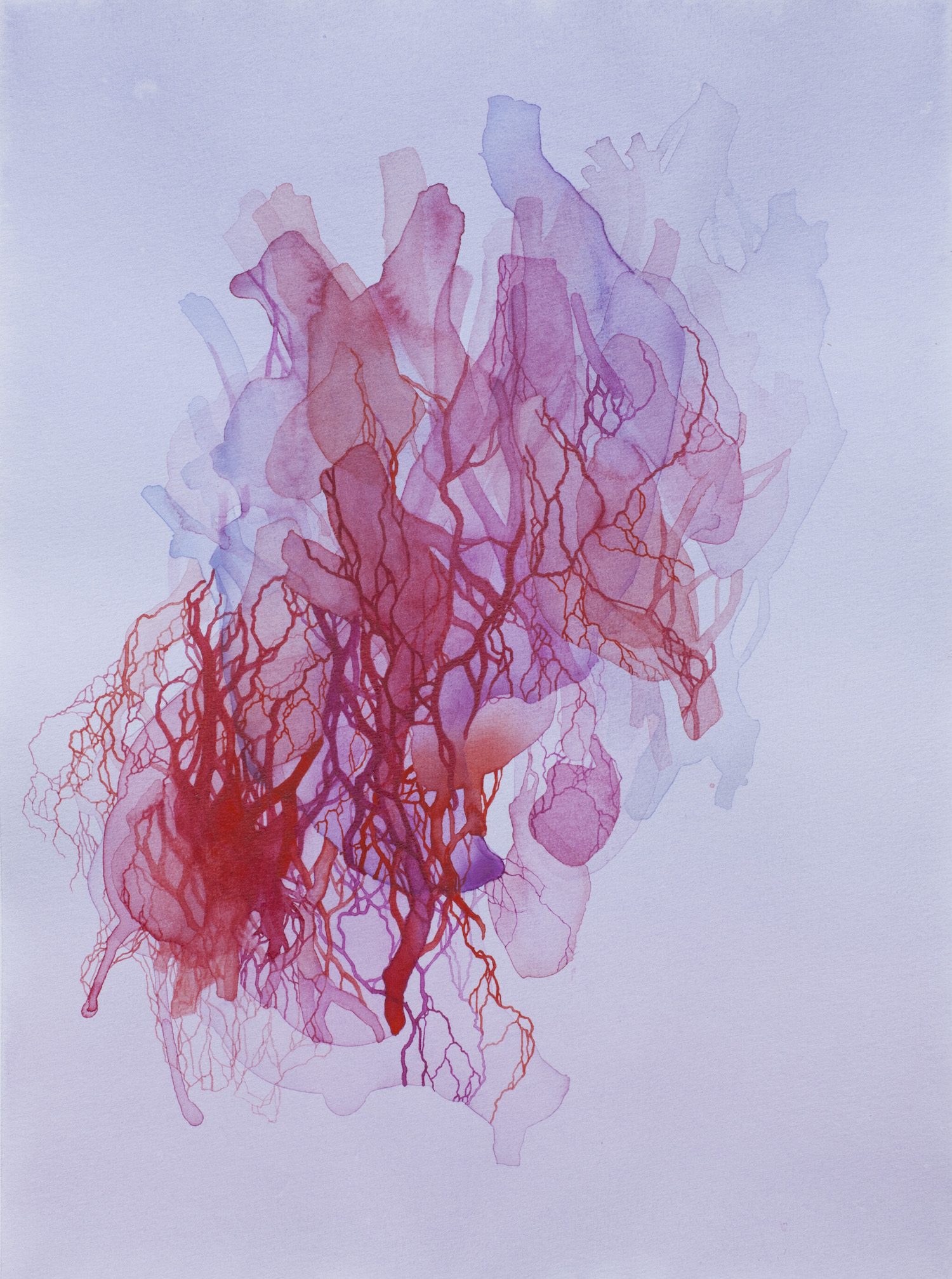 Entraille #2 (aquarelle, 29,7x40cm, décembre 2024)