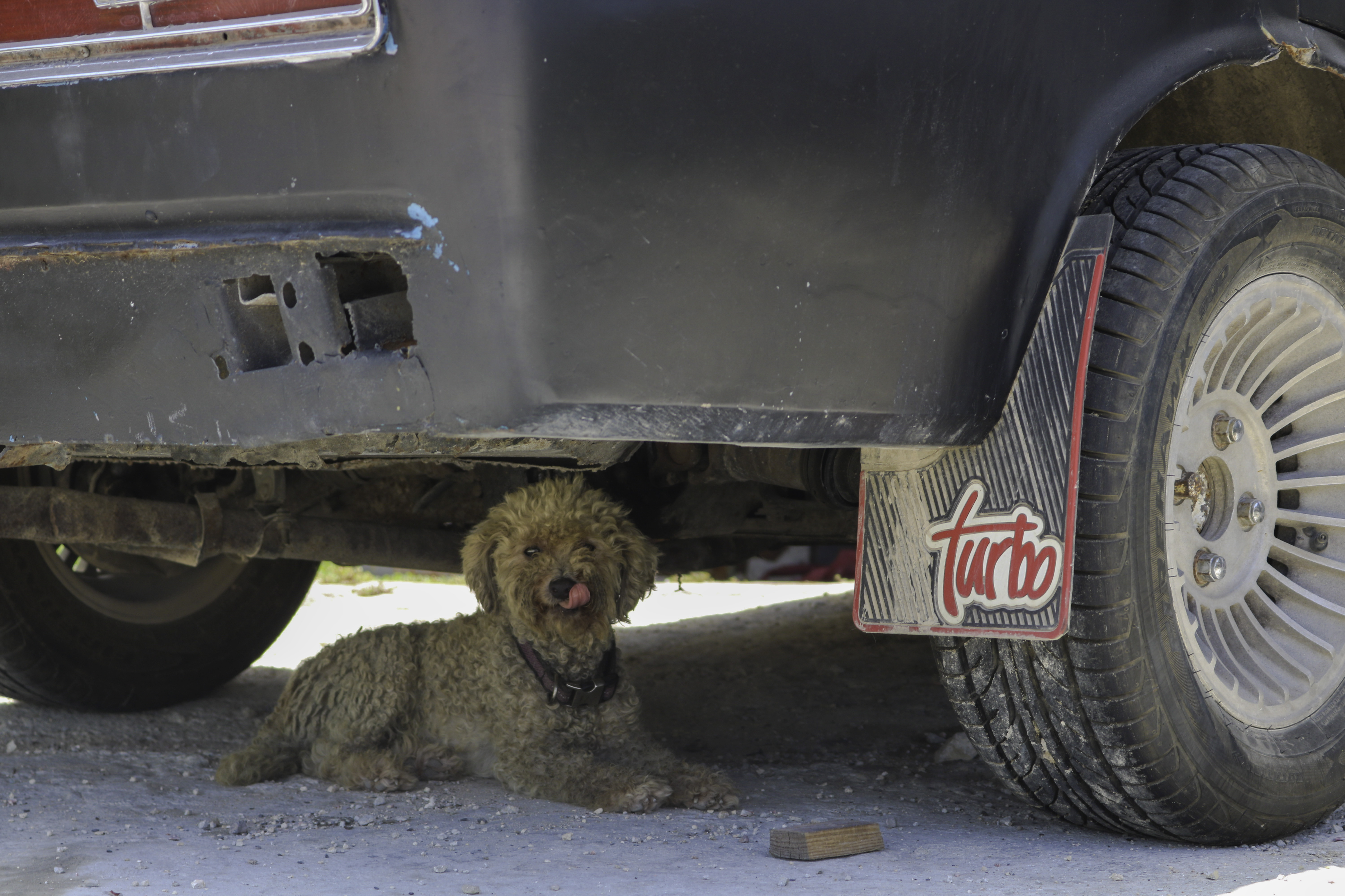 Turbo