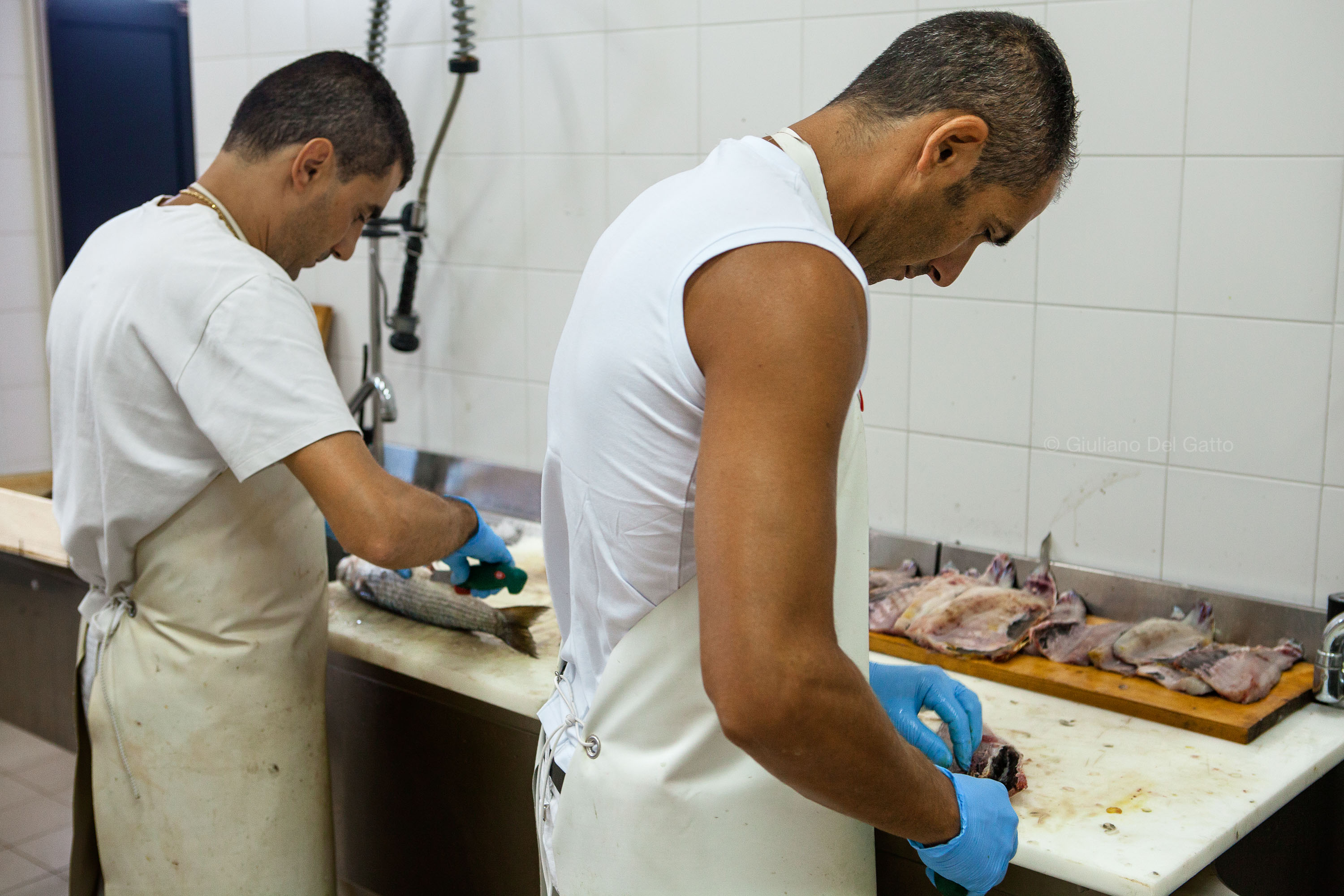 After the extraction of the eggs, the mullet is filleted and the meat dried - Cabras, Sardinia 2012