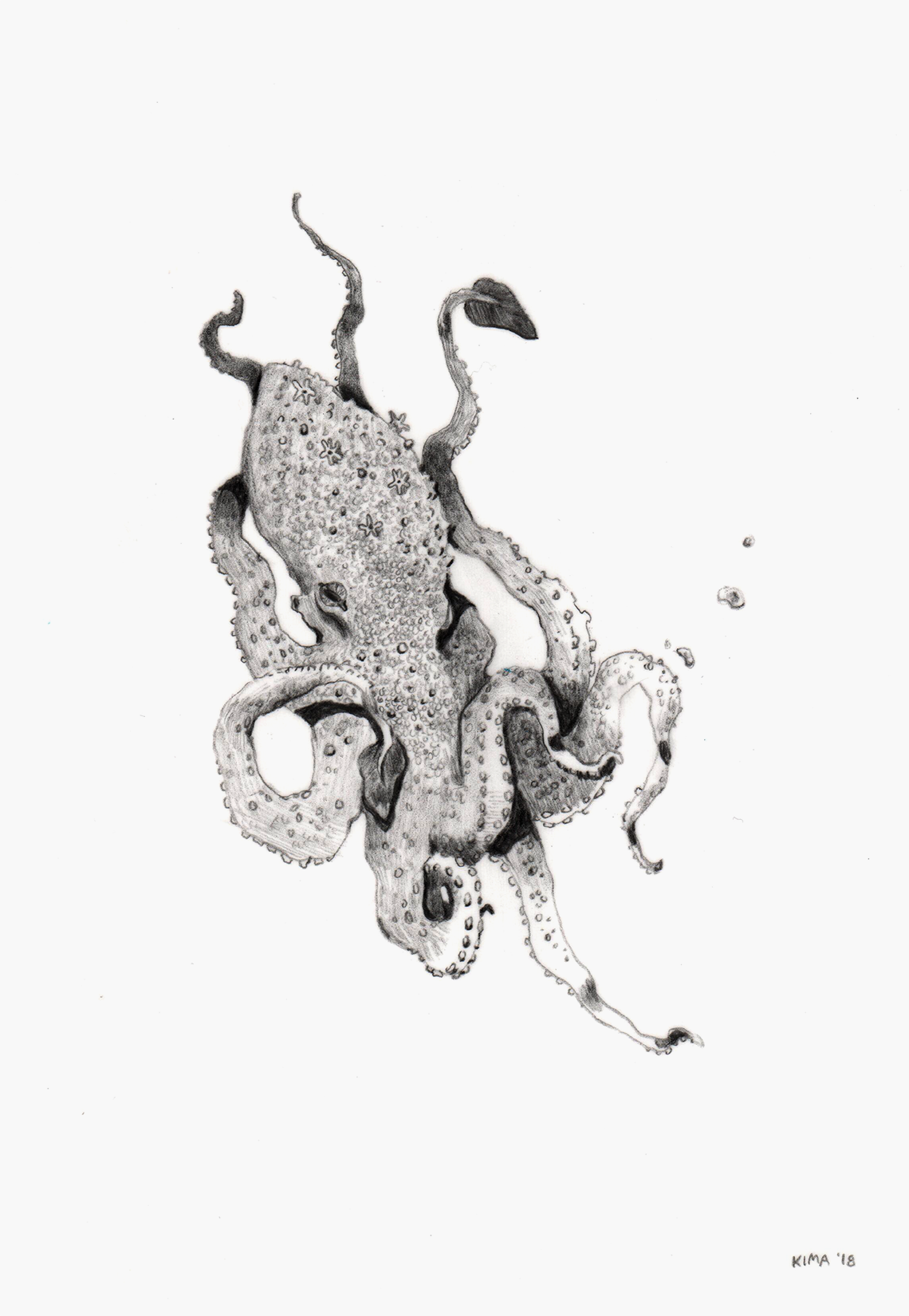 Seacreature ii