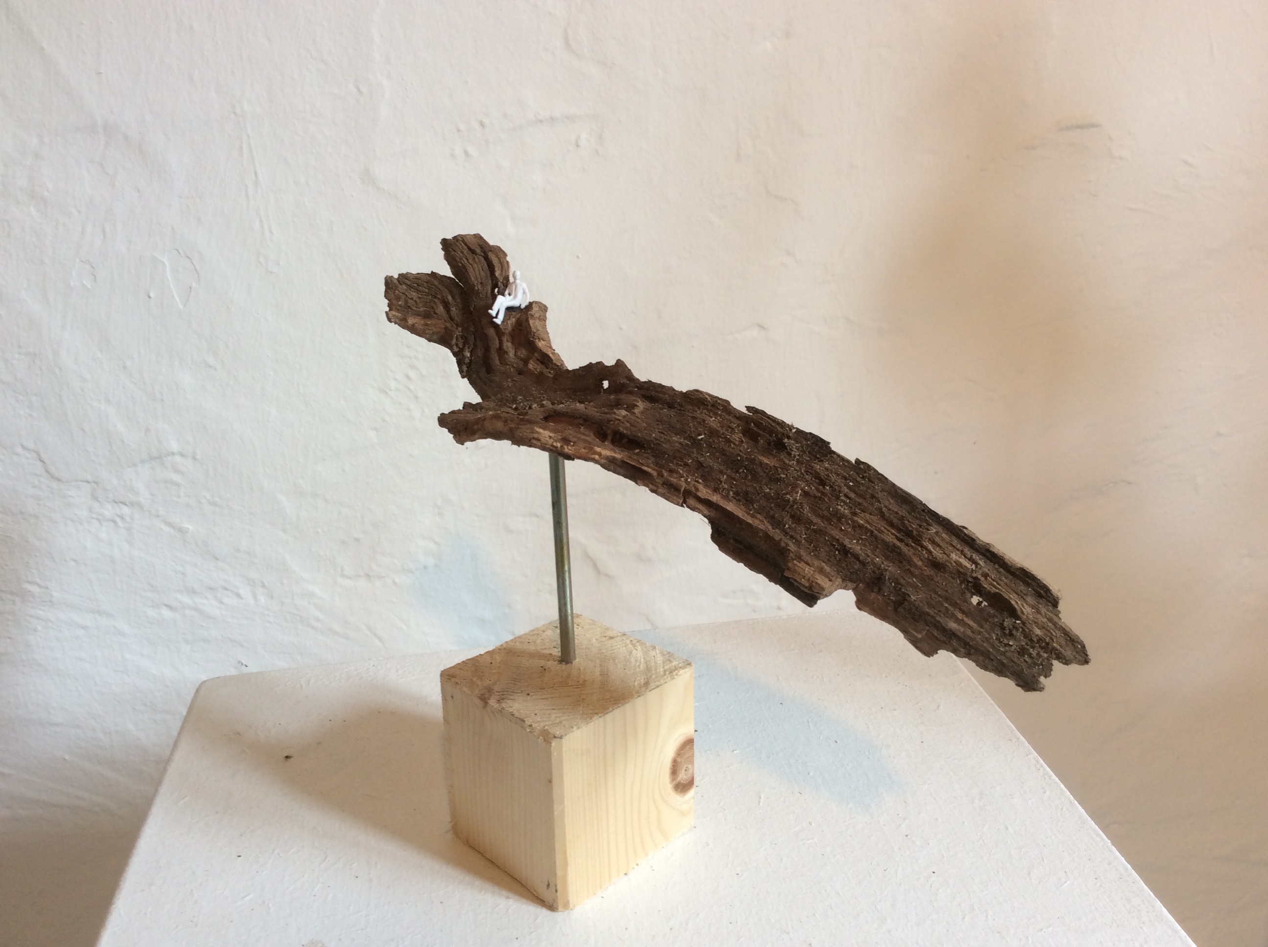 Part of nature 3, boomschors en acrylfiguur, 2019