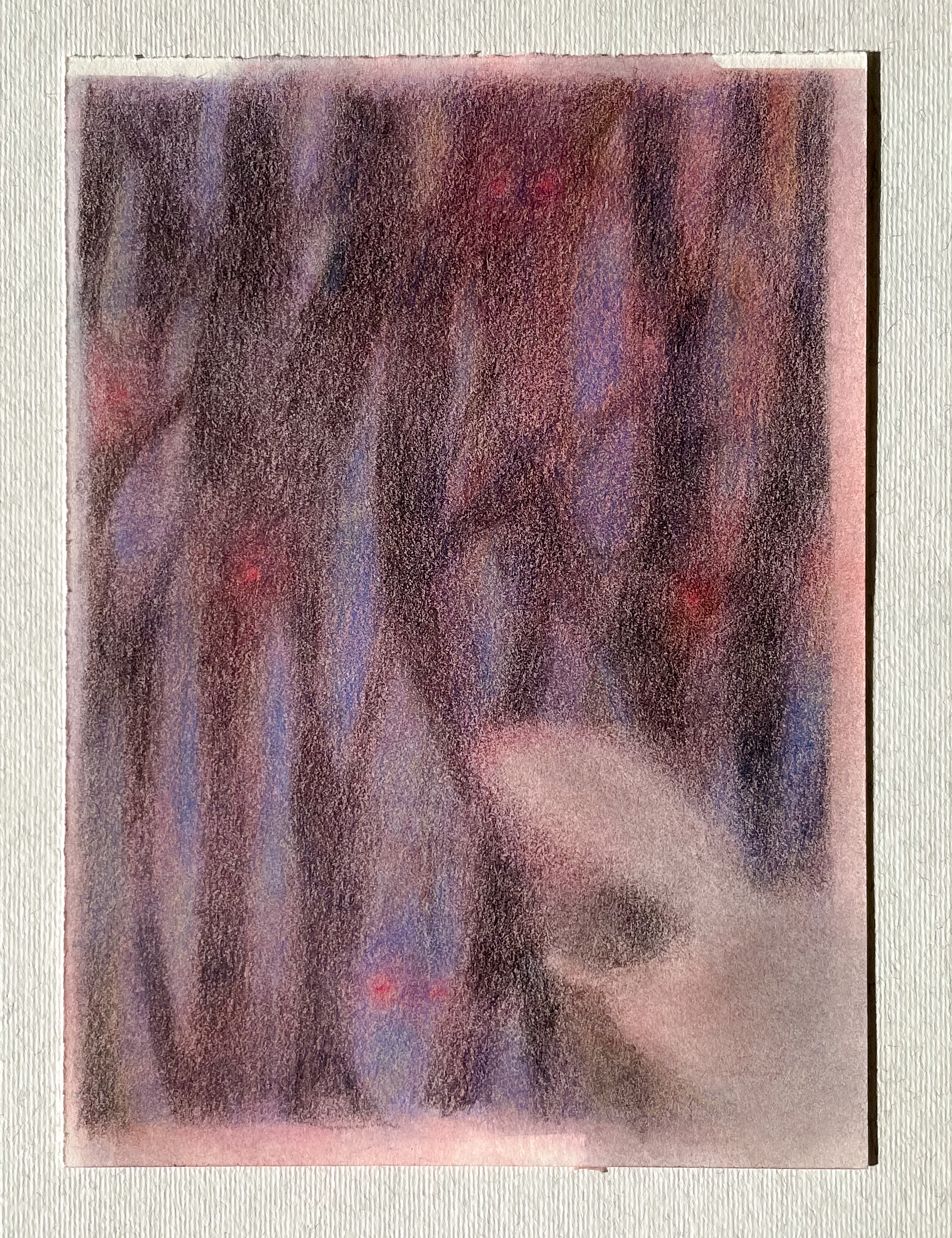 Flying Squirrels for MONKEY magazine 5x7", $100