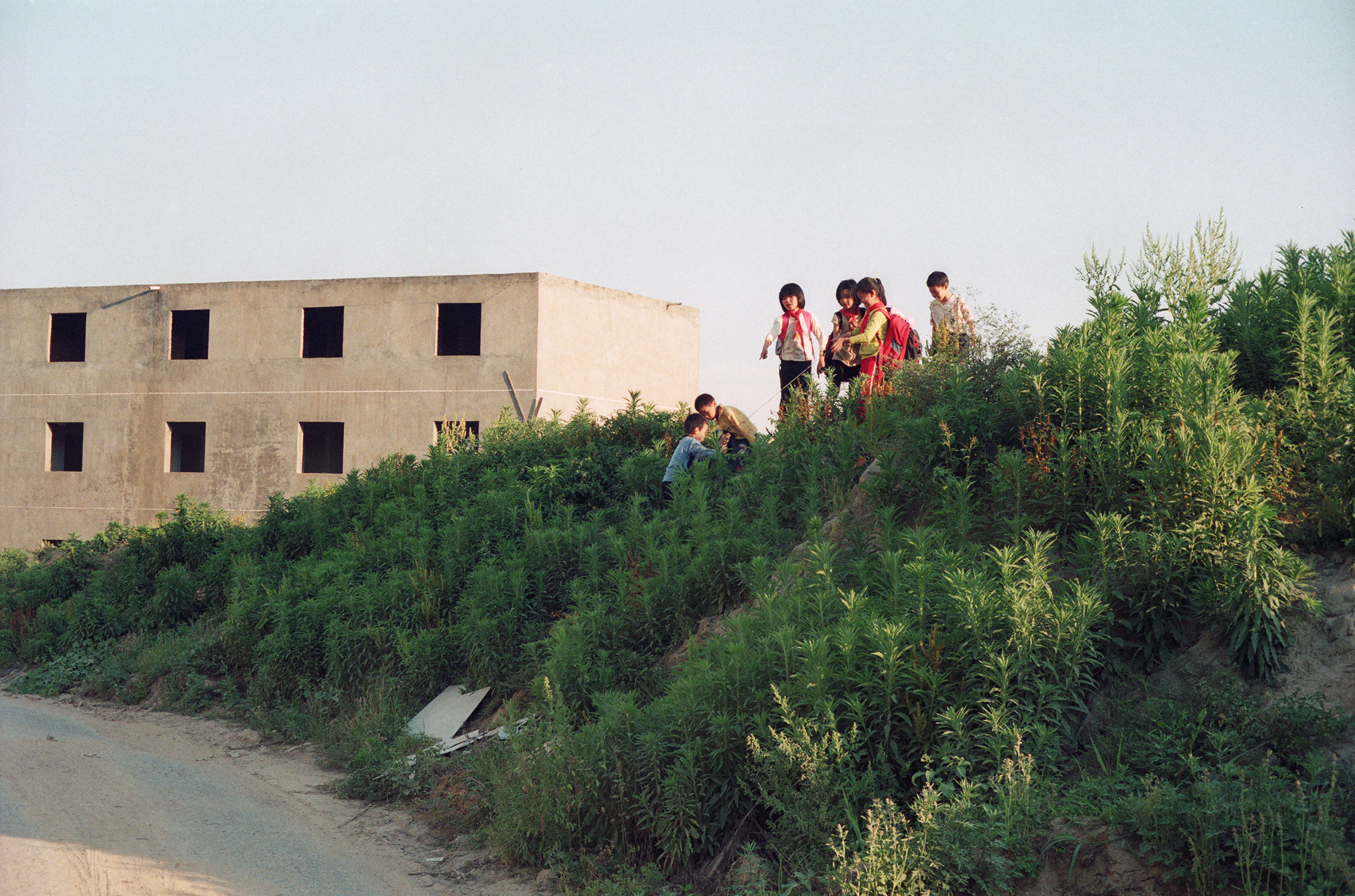 Près de Route Pushang, 2010