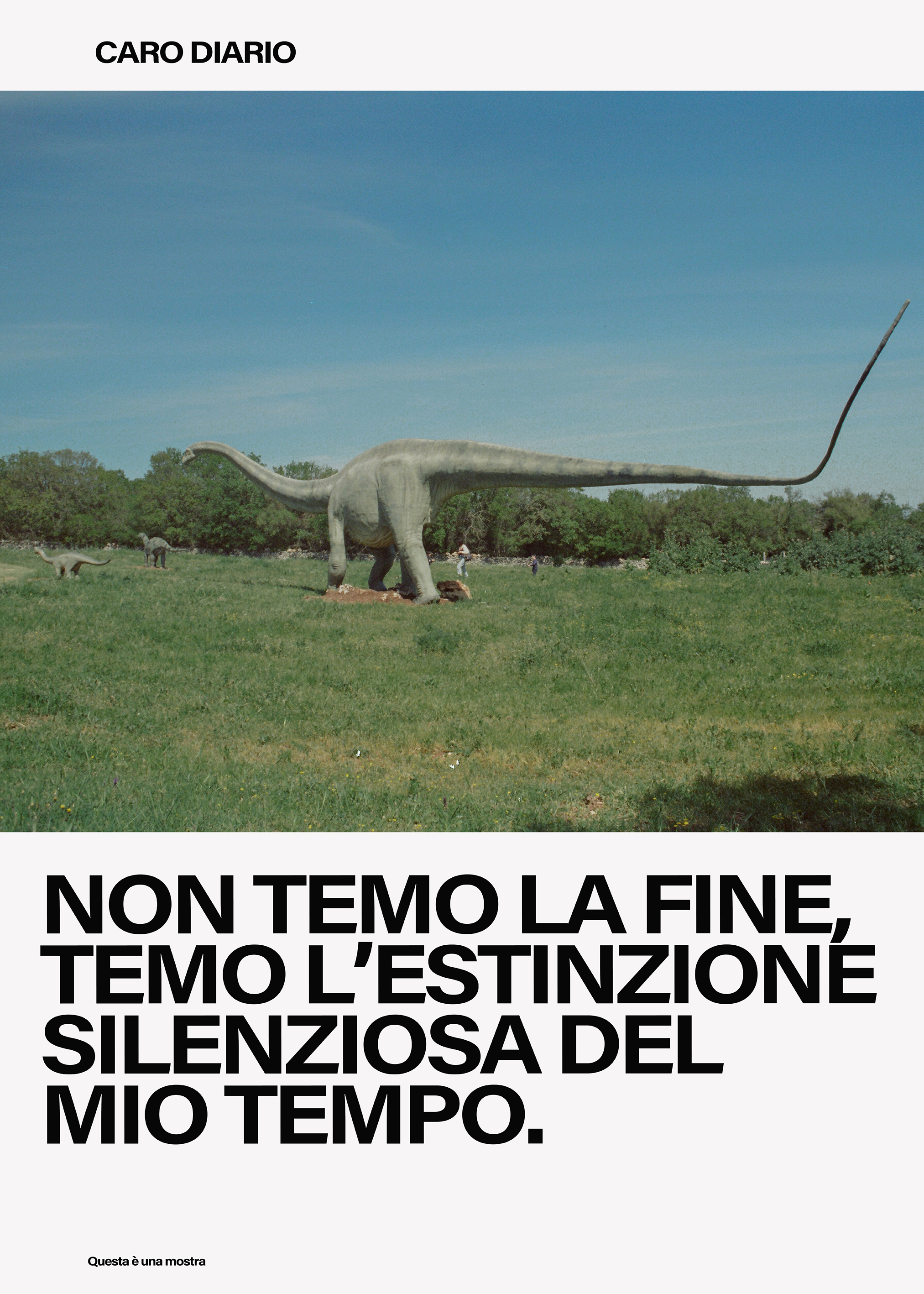 NON TEMO LA FINE, TEMPO L'ESTINZIONE SILENZIOSA DEL MIO TEMPO.