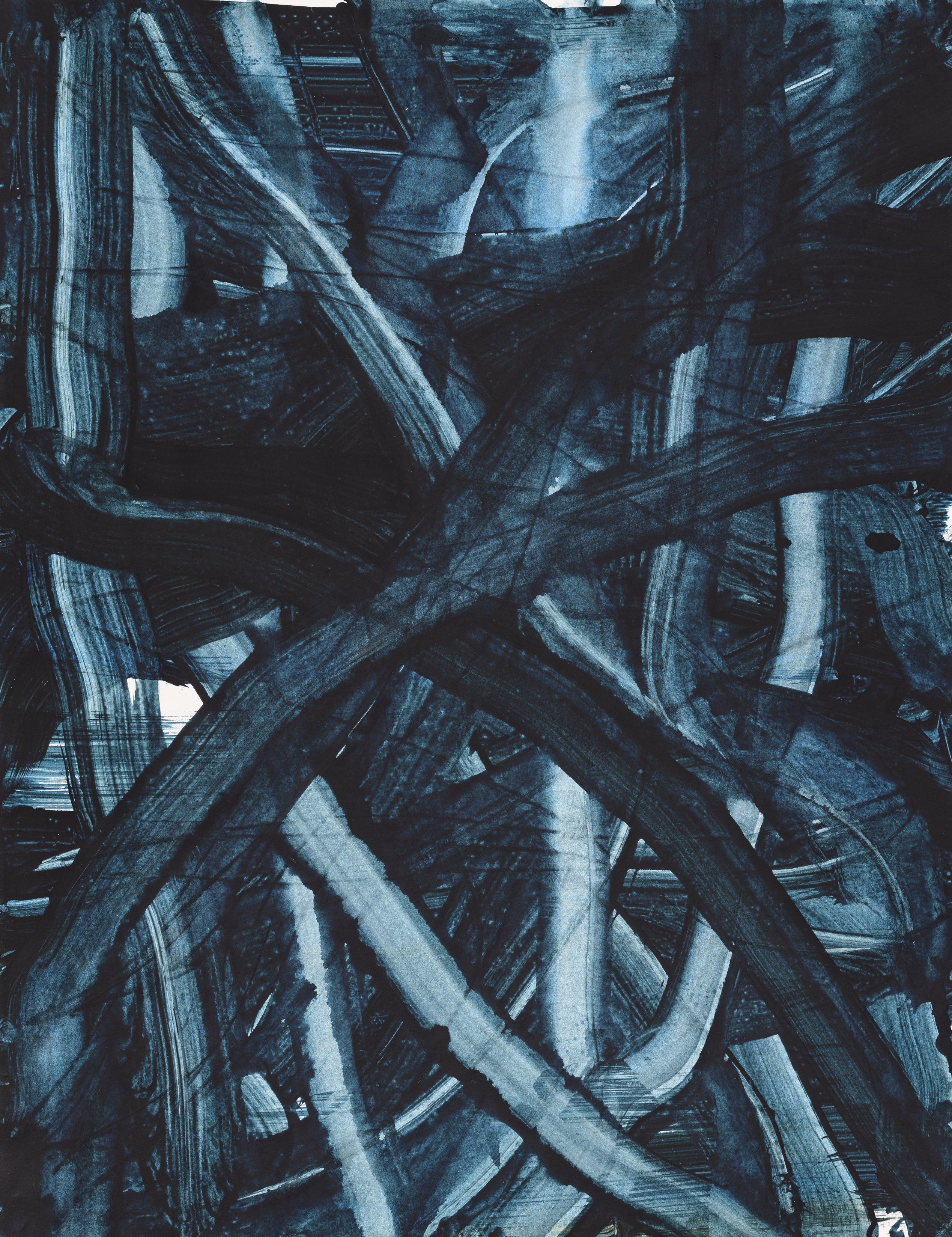 Study of nature 5026Acrylic on paper 65×50cm