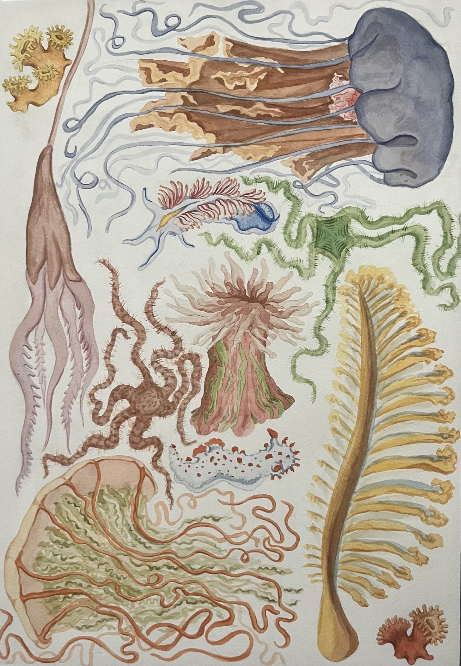 Inspired by vintage scientific illustrations