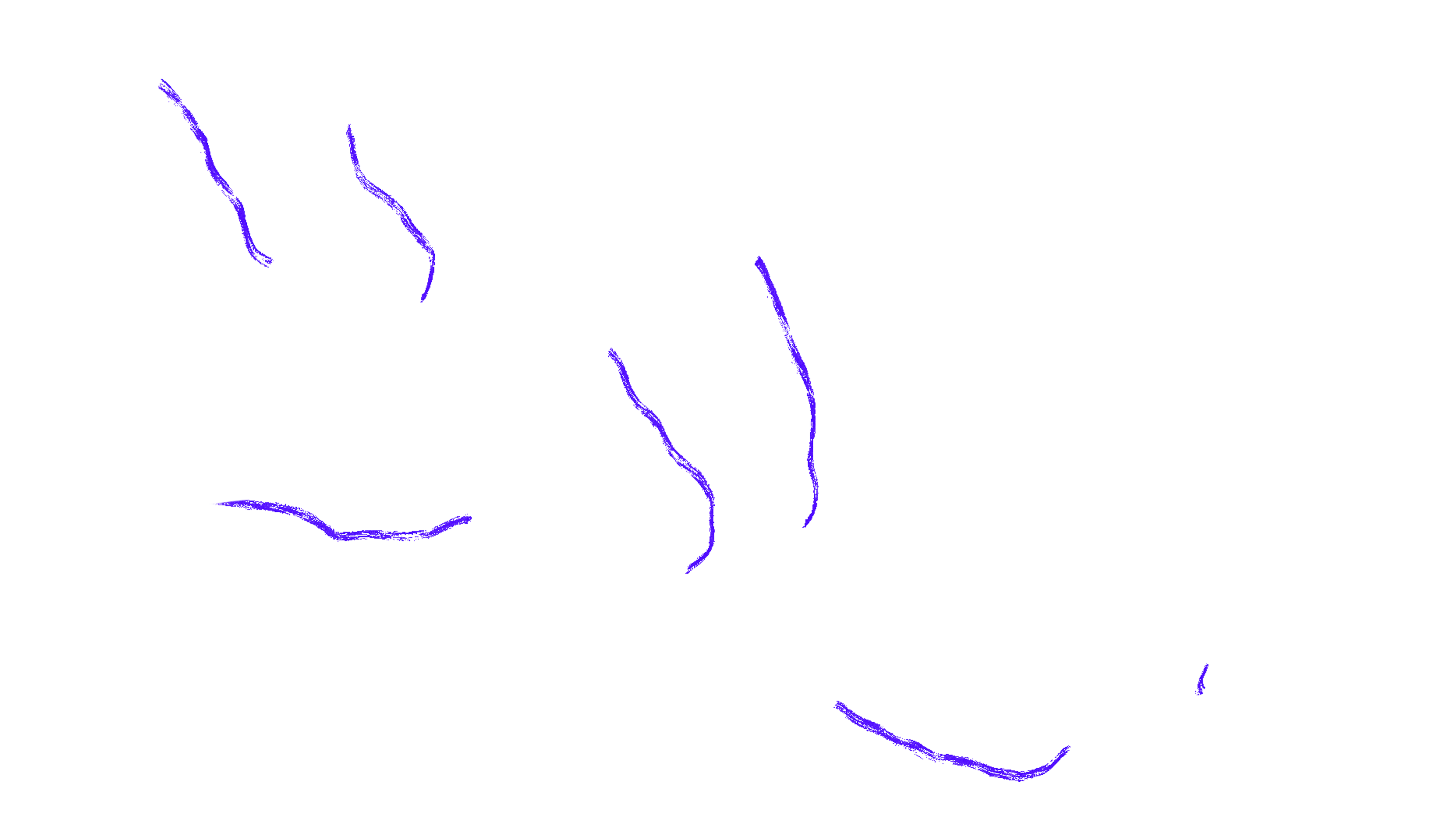 White bristled drawing of a plant on a black background. The drawing is interjected with neon purple lines highlighting several edges of leaves.