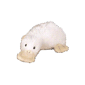 i am the beacon of sin