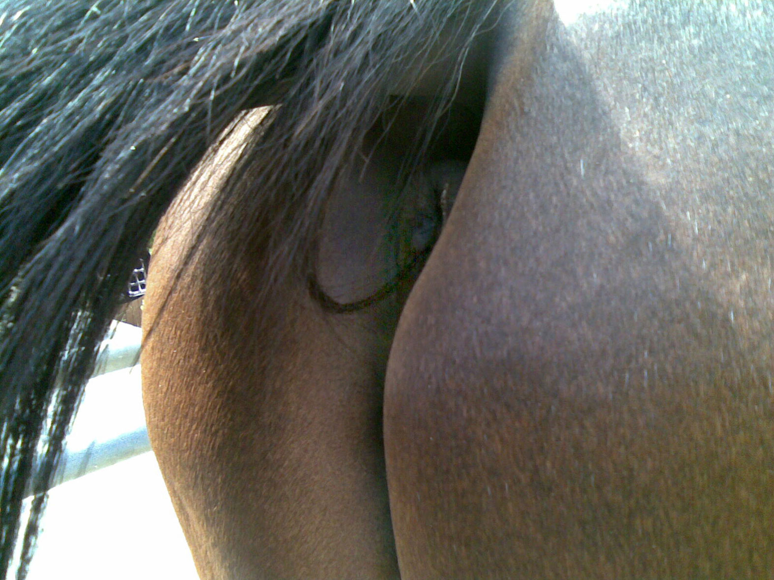 Epílogo, 2009C-Print10 x 15 cm.