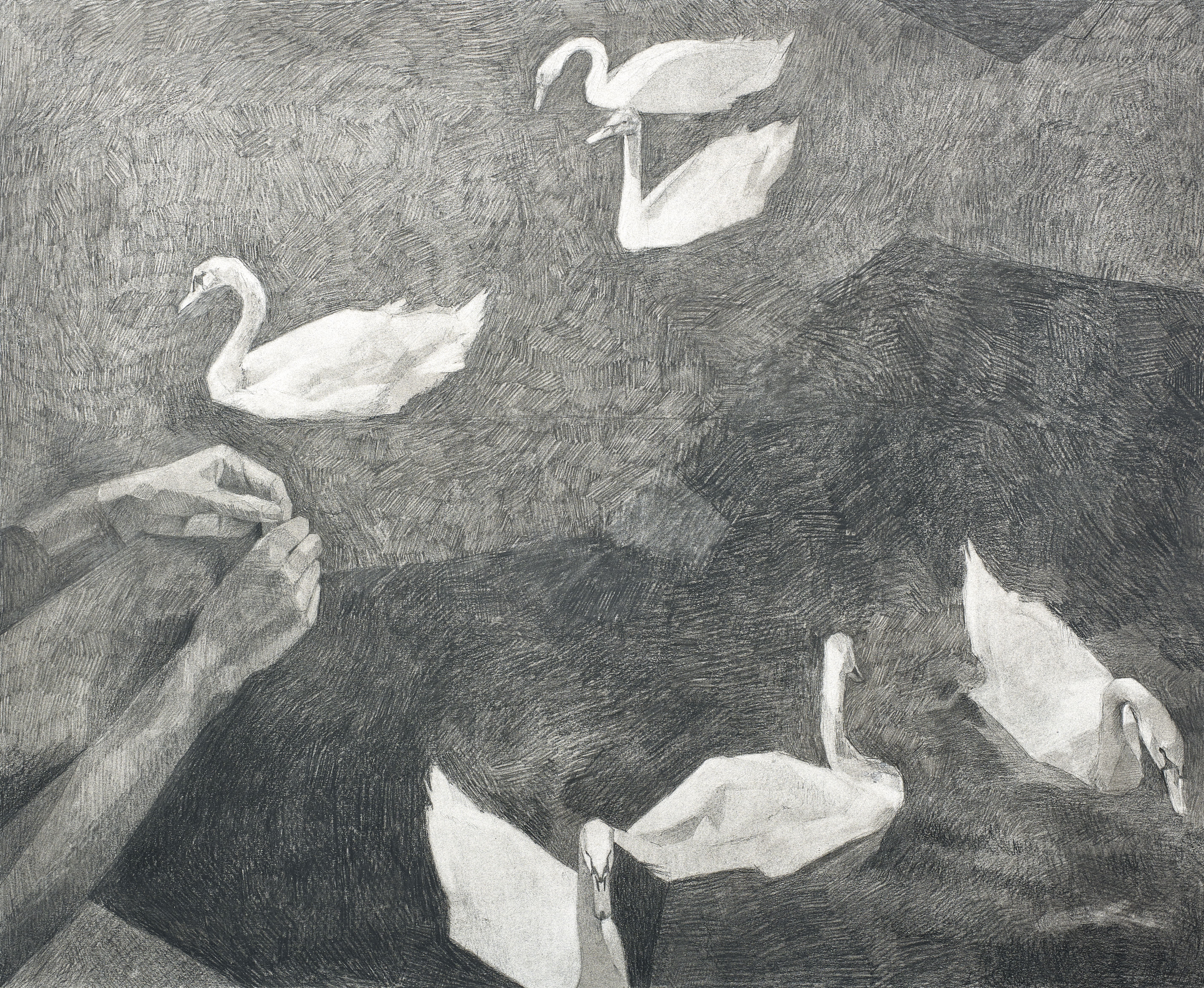 SwansCharcoal on paper, mounted to board34” x 28”