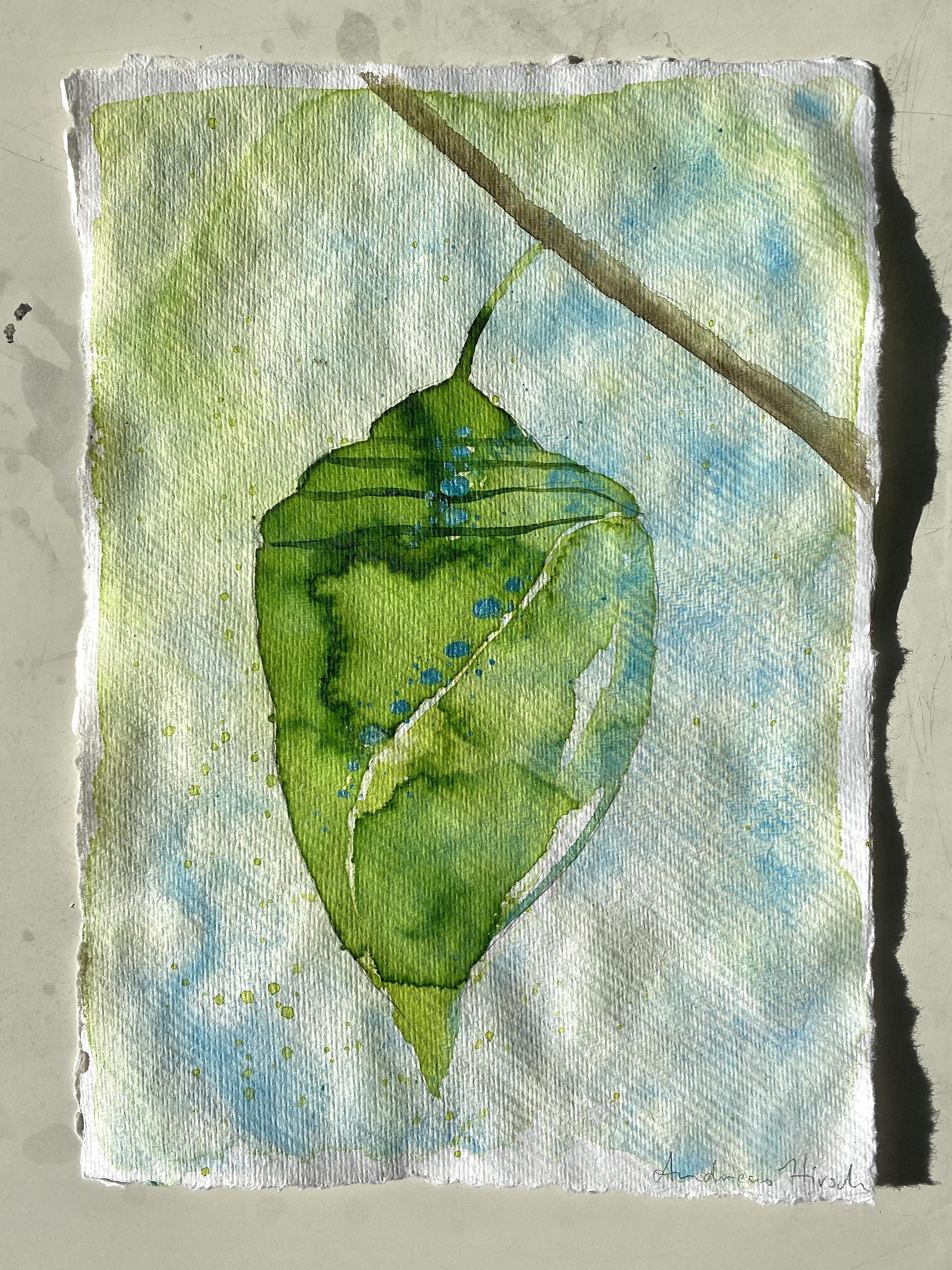 [ some kind of peace 2 / 30 x 21 cm / watercolor  on hand-made paper / artist: Andreas Hirsch ]