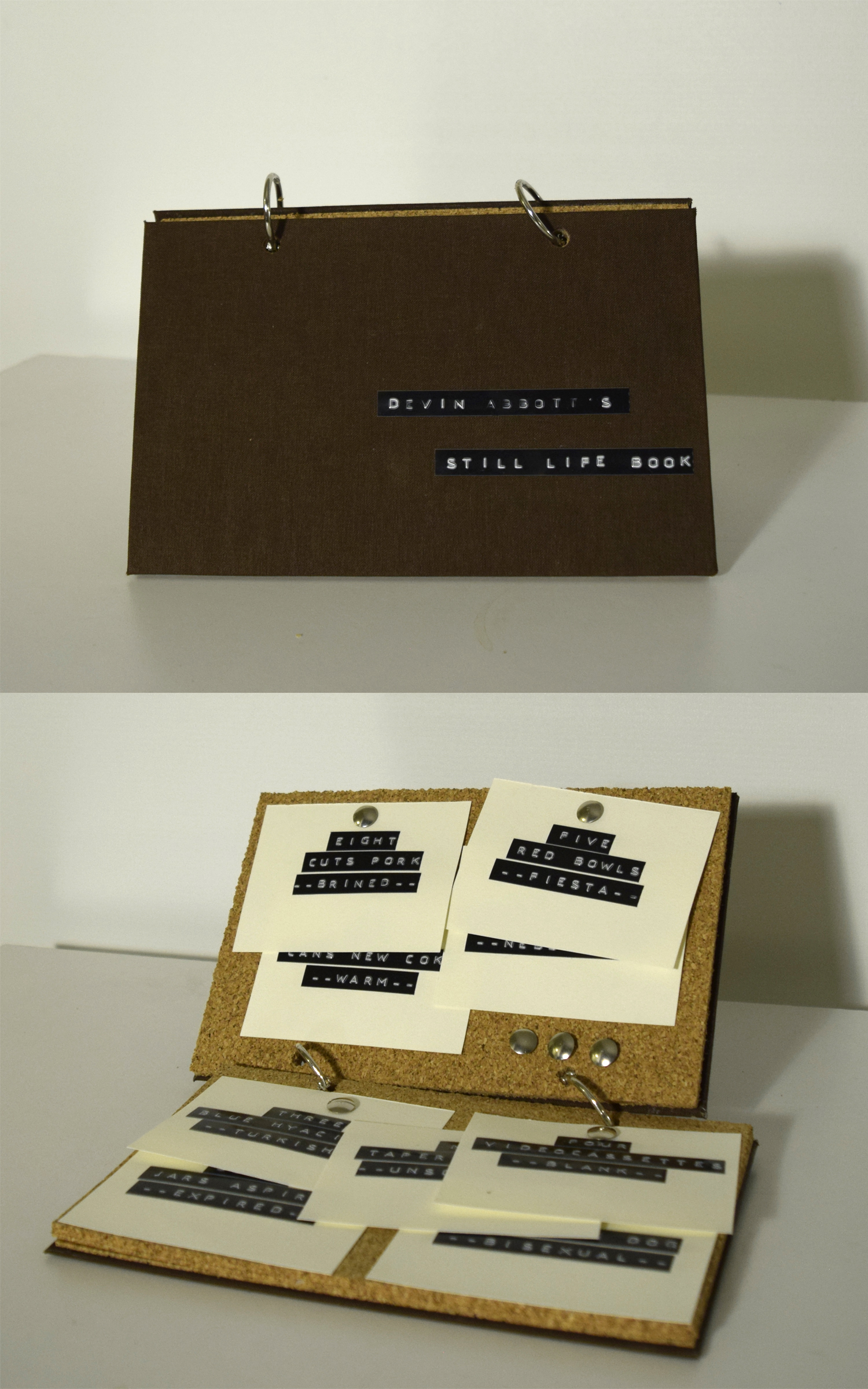 Devin Abbott, Devin Abbot's Still Life Book (Spring 2018), Artist book, 7" x 9"; Senior Studio & Thesis: from the student's thesis exhibition