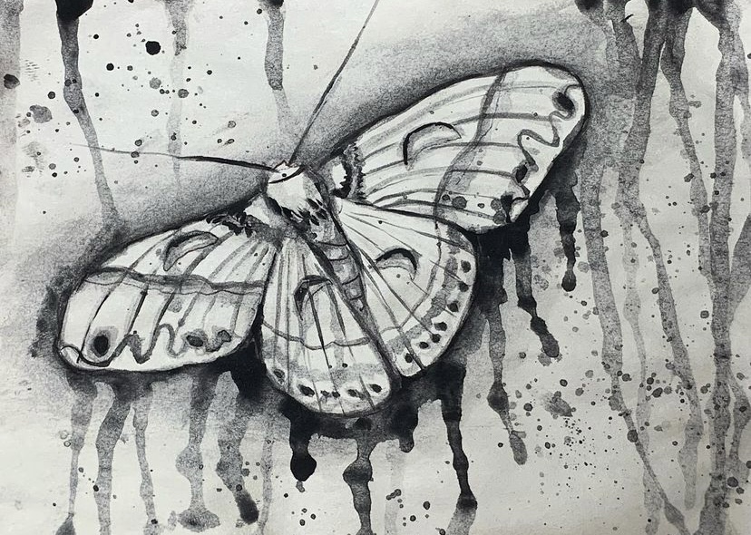 ink moth | 2022 | ink on paper, 6" x 4½"
