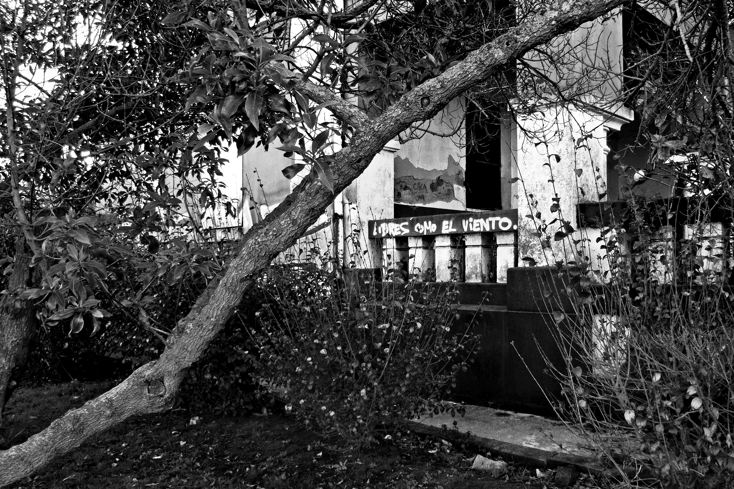 Graffiti in an abandoned former provincial prisonA Coruña, Spain, 2021photography, bw, single