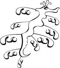 Leafy Seadragon Outline