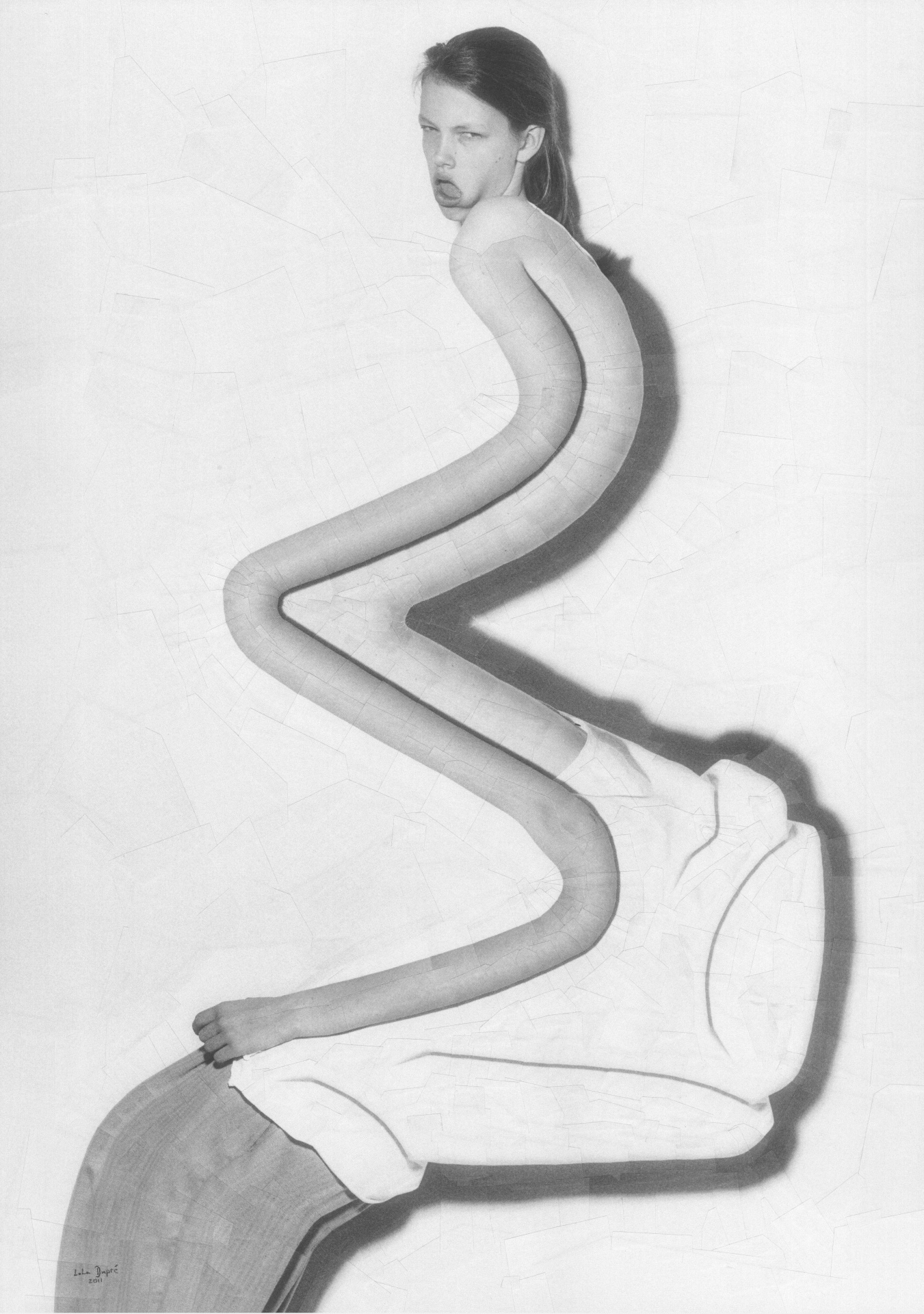 Untitled with Jonathan Waiter, Anniek and Adbusters, 2011,  11.6 x 16.5 inches