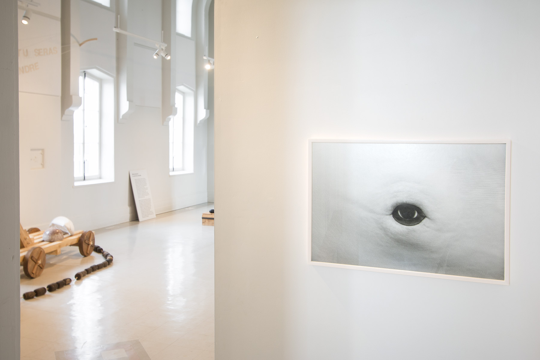 Photo : Caroline Bolieu, 2025. Courtoisie du Centre d'art de Kamouraska