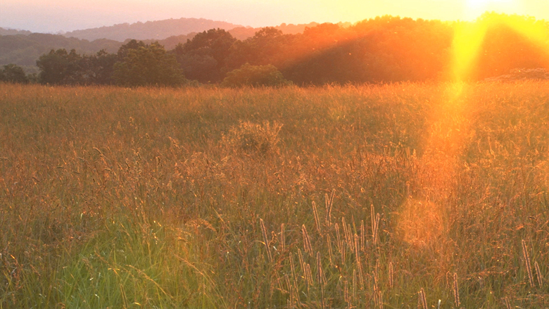 Summer, 2013, Video stills, 28 Min